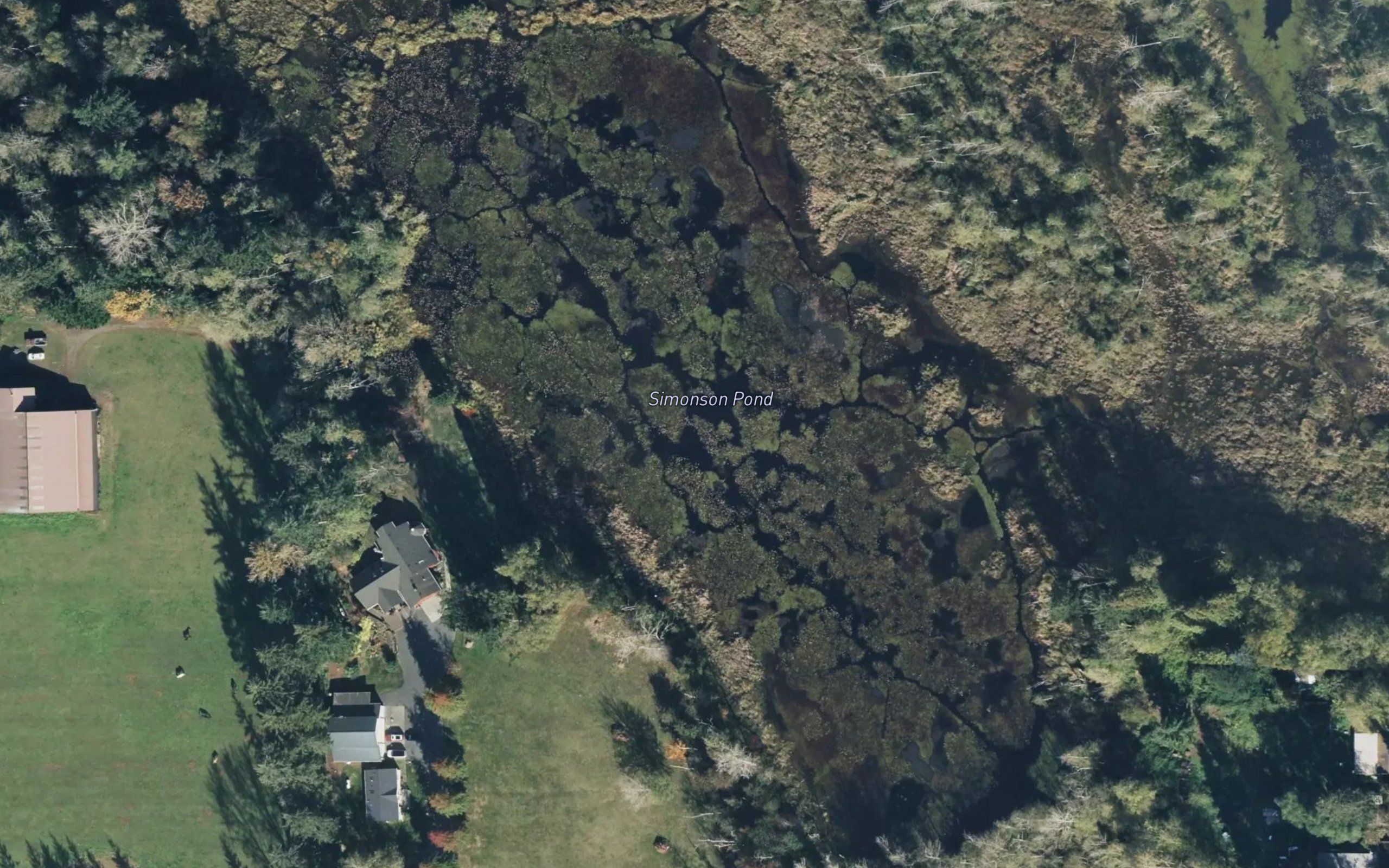 Simonson Pond