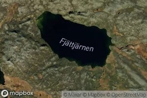 Fjattjarn