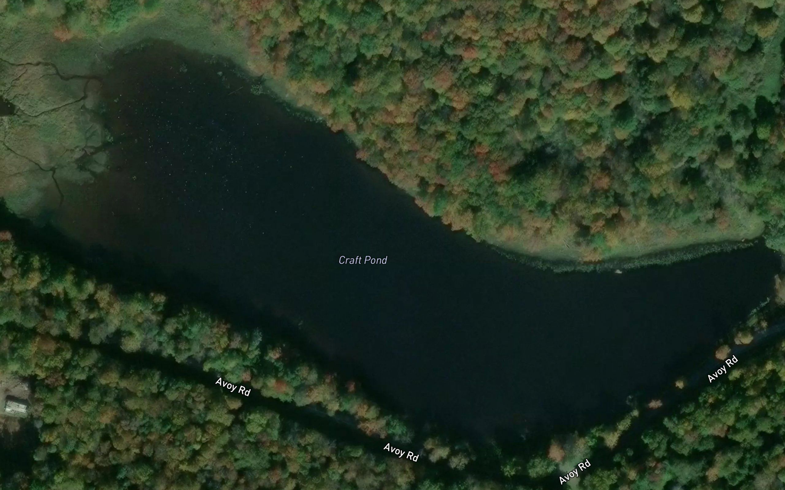 Craft Pond