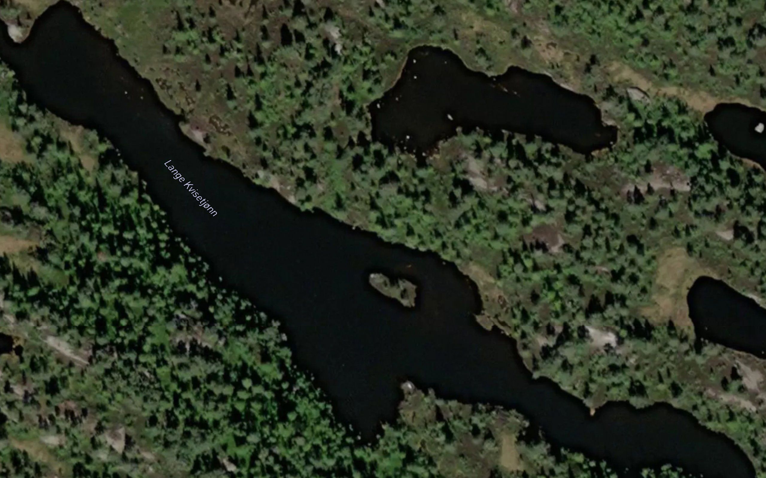 Lange Kvisetjonn