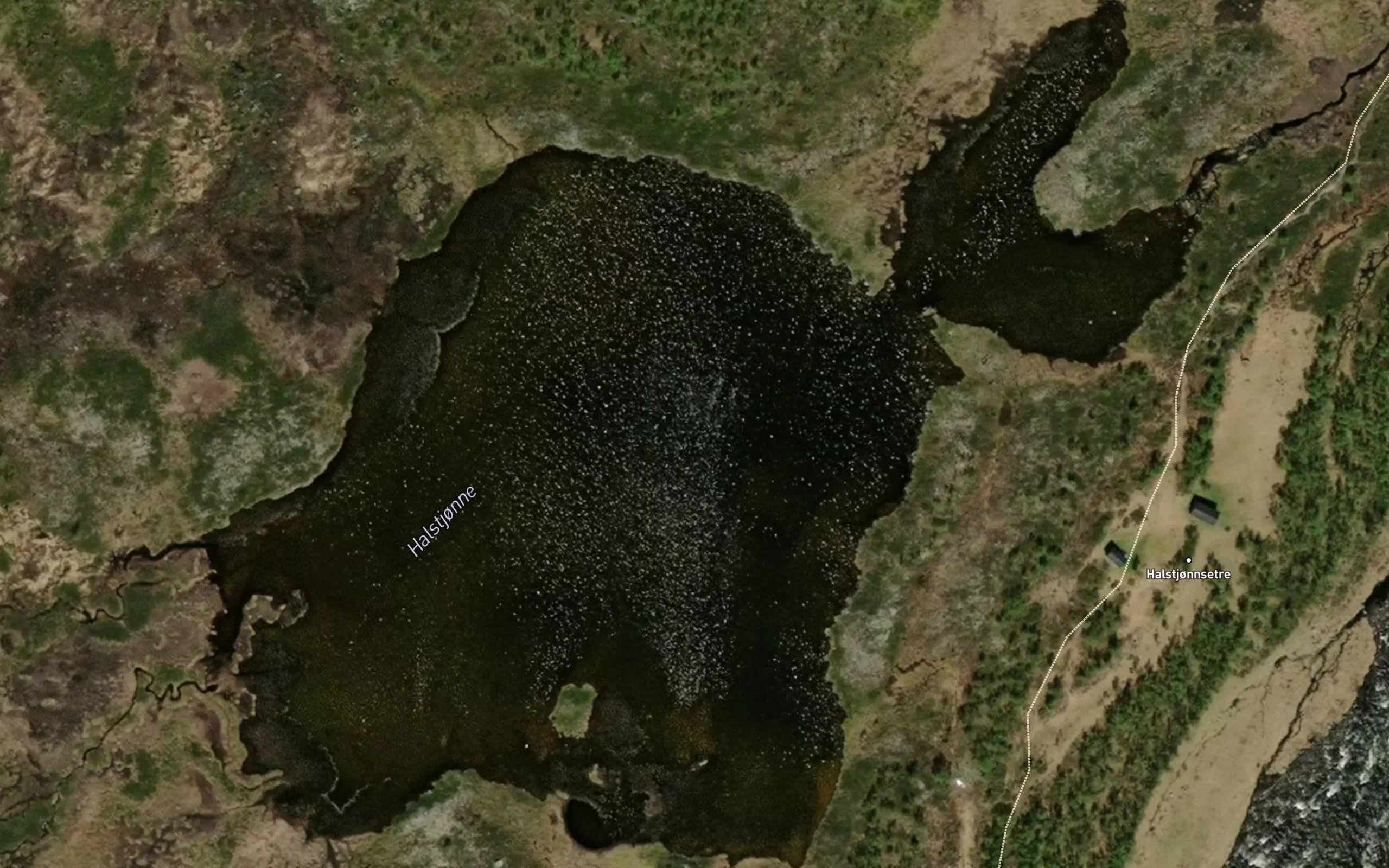 Halstjonne