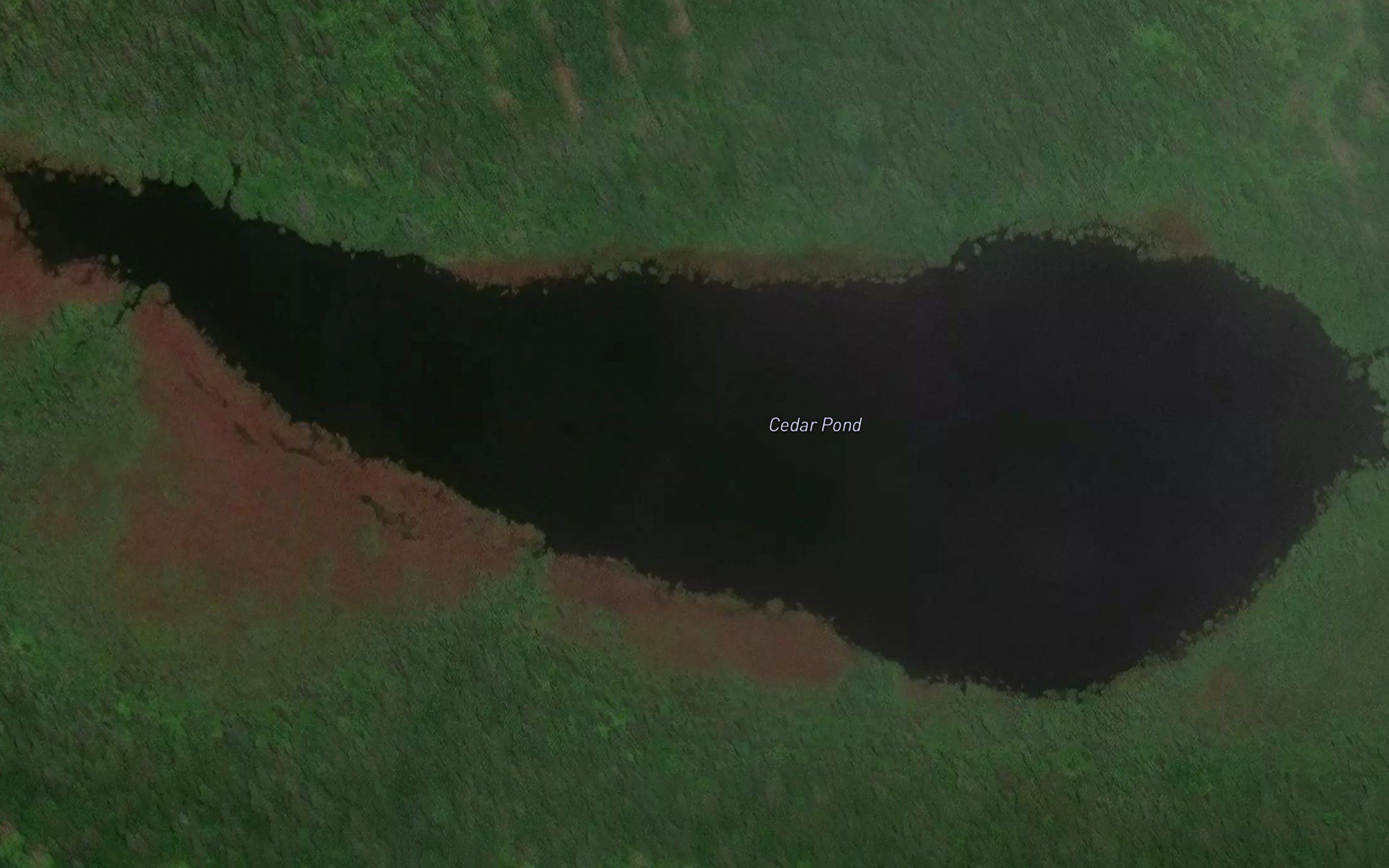 Cedar Pond