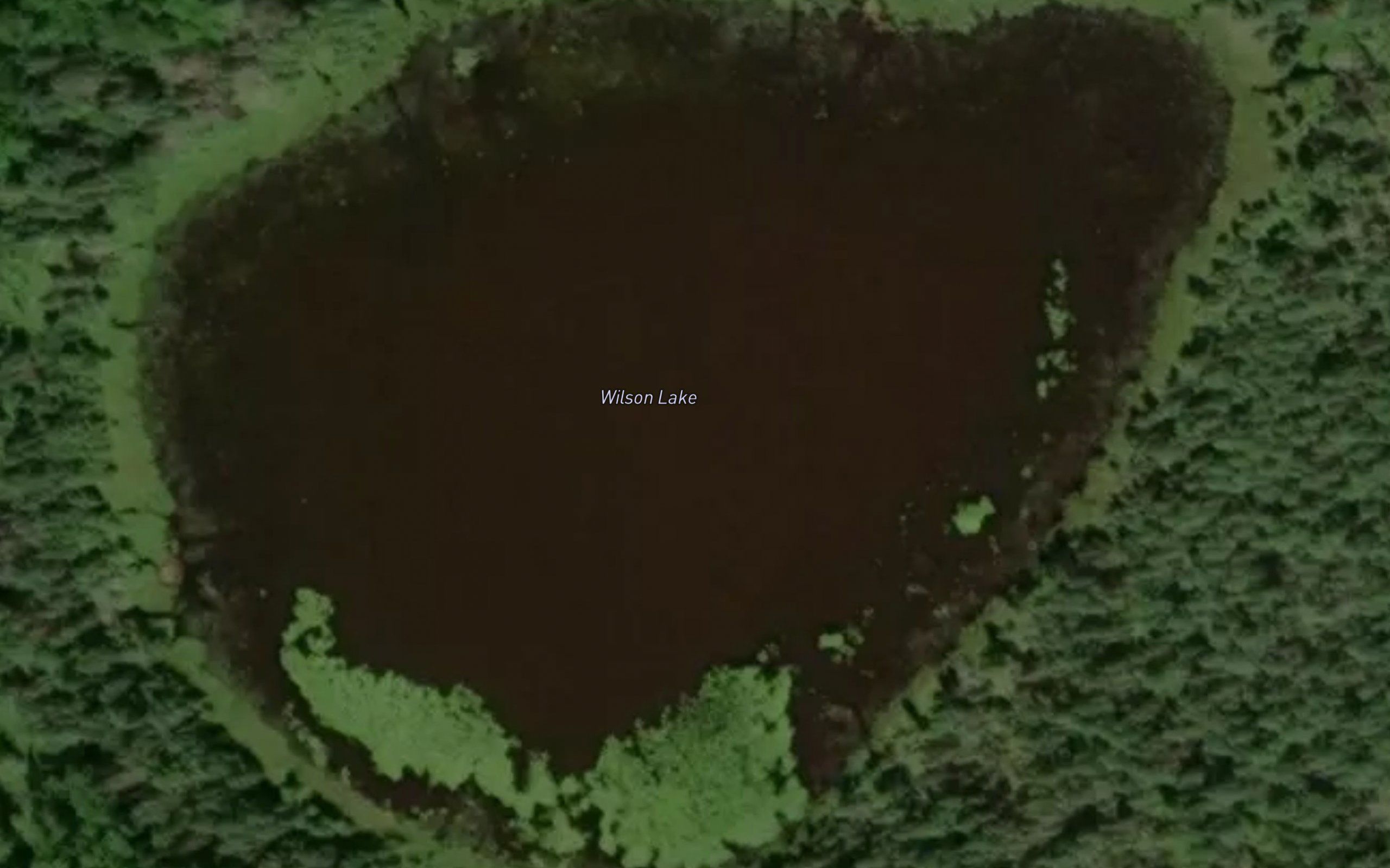 Wilson Lake