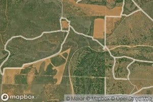 Bluff Creek