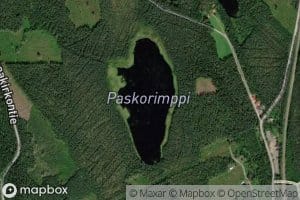 Paskorimppi
