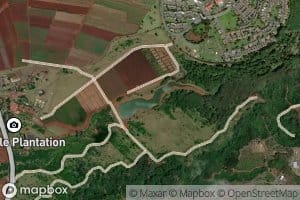 Upper Helemano Reservoir