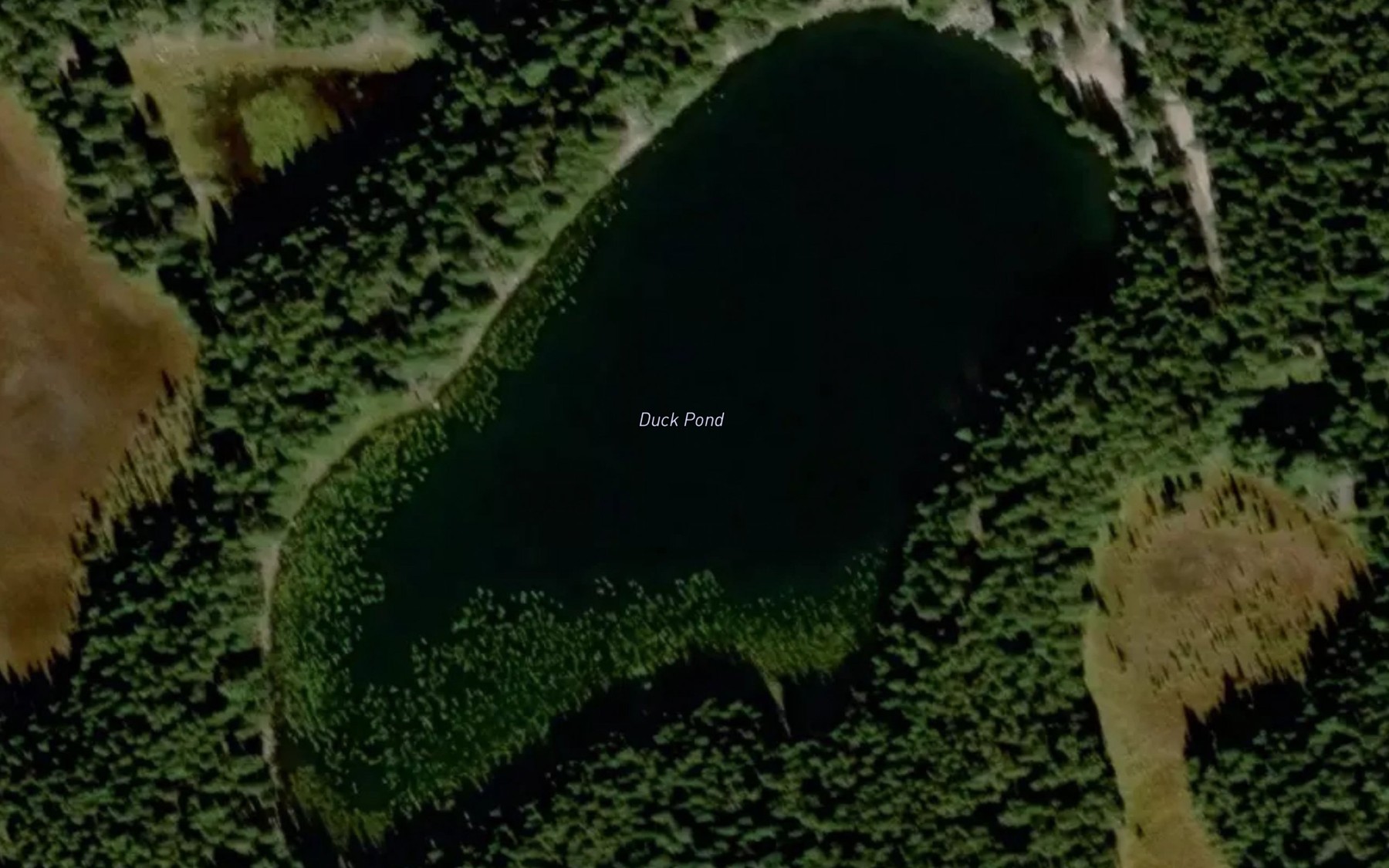 Satellite map of the Duck Pond