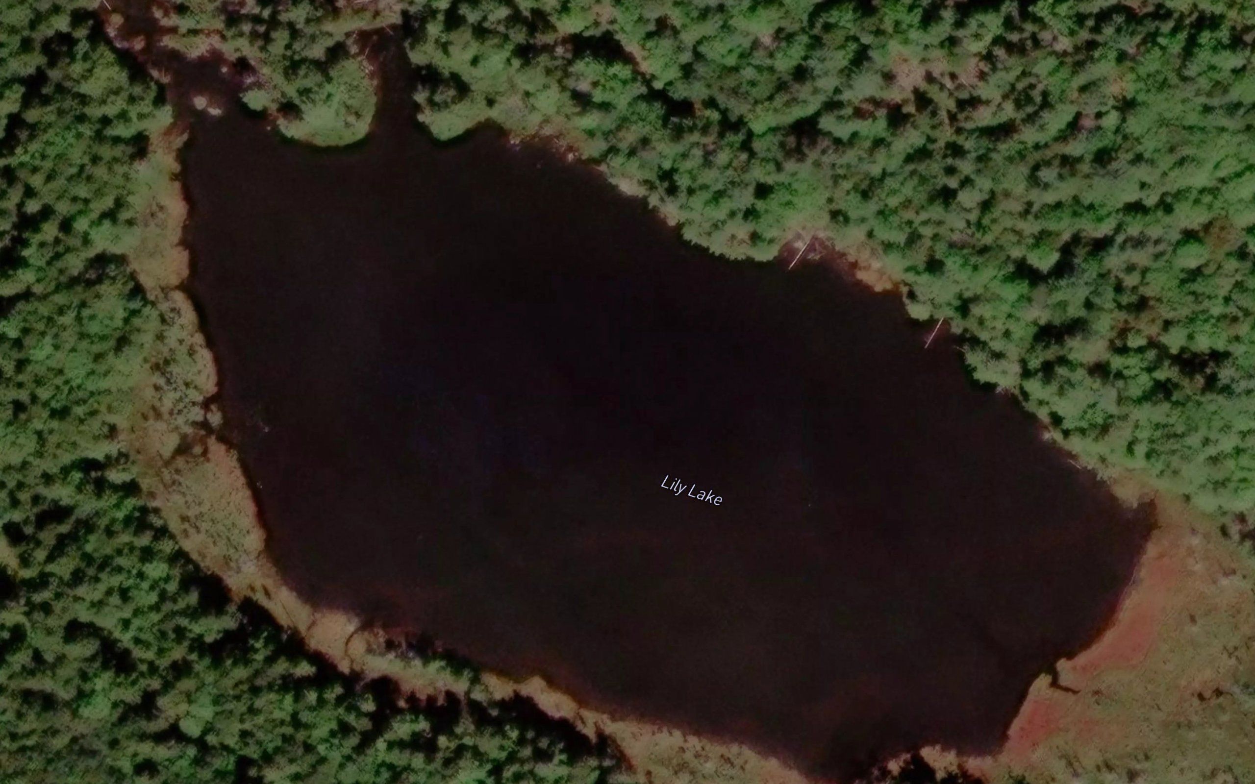 Lily Lake