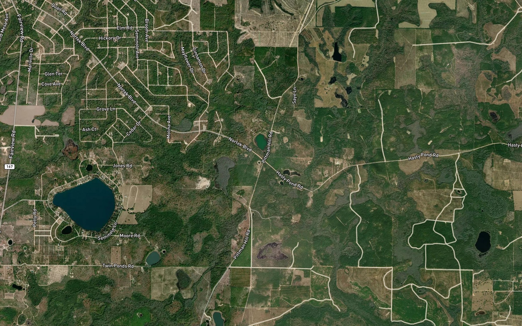Satellite map of the Round Pond