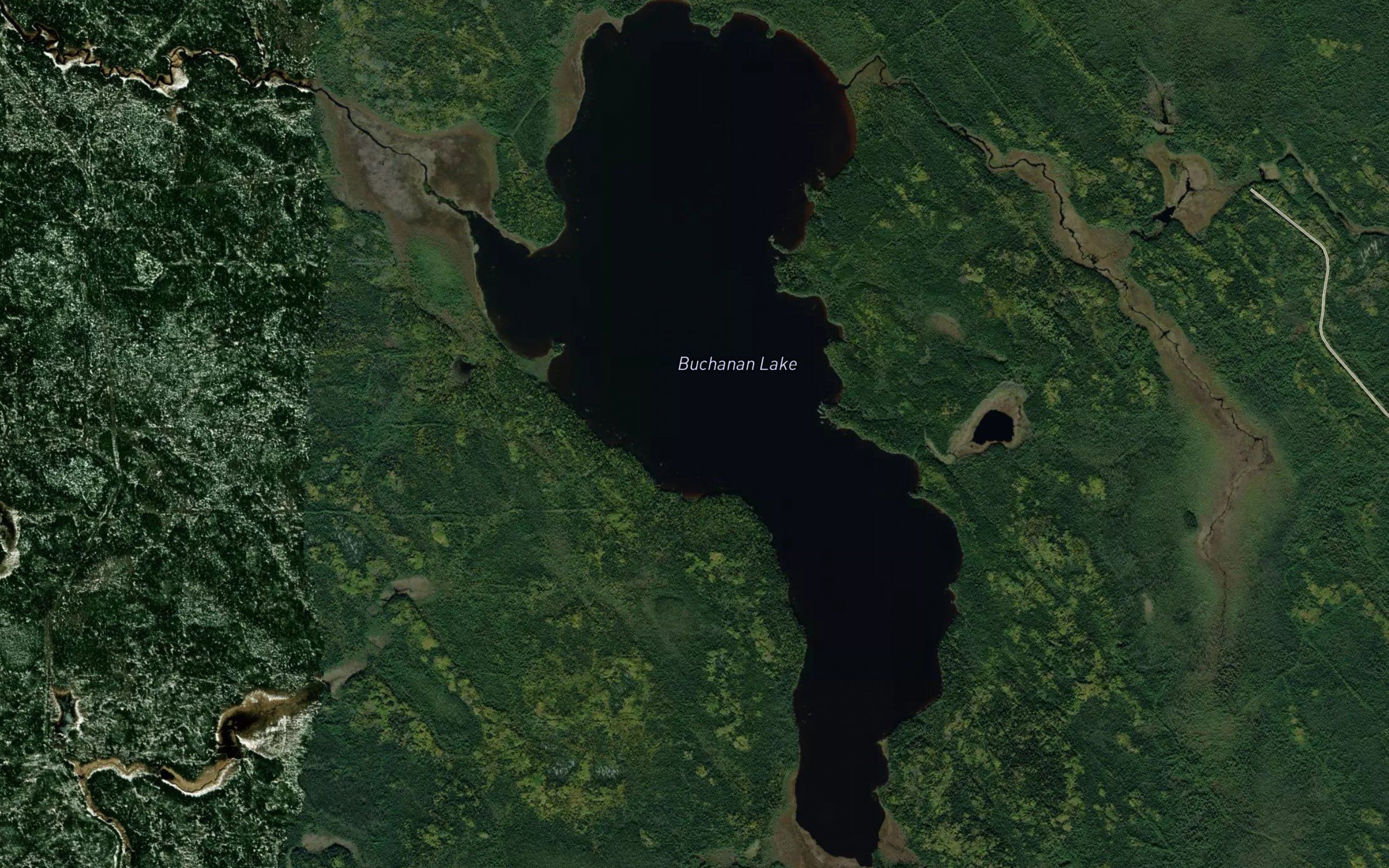 Buchanan Lake