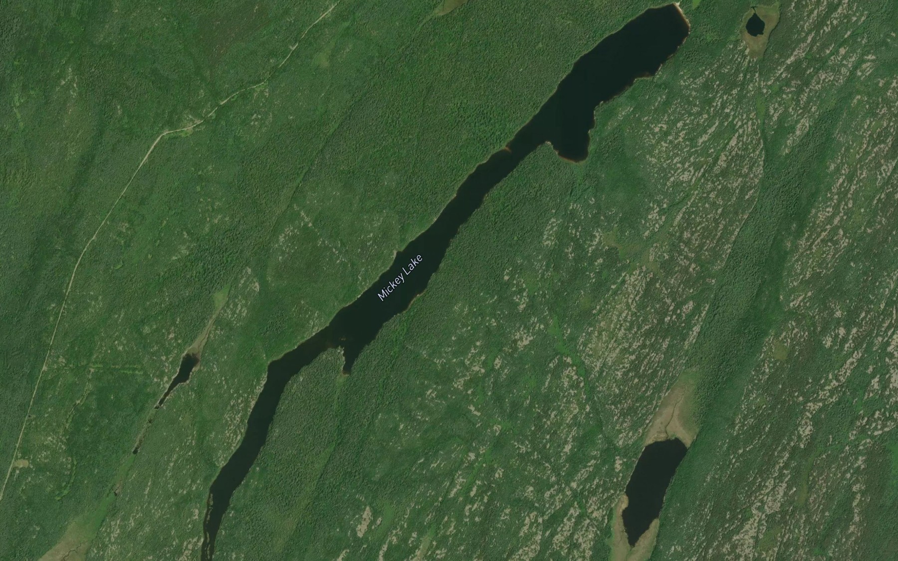 Satellite map of the Mickey Lake