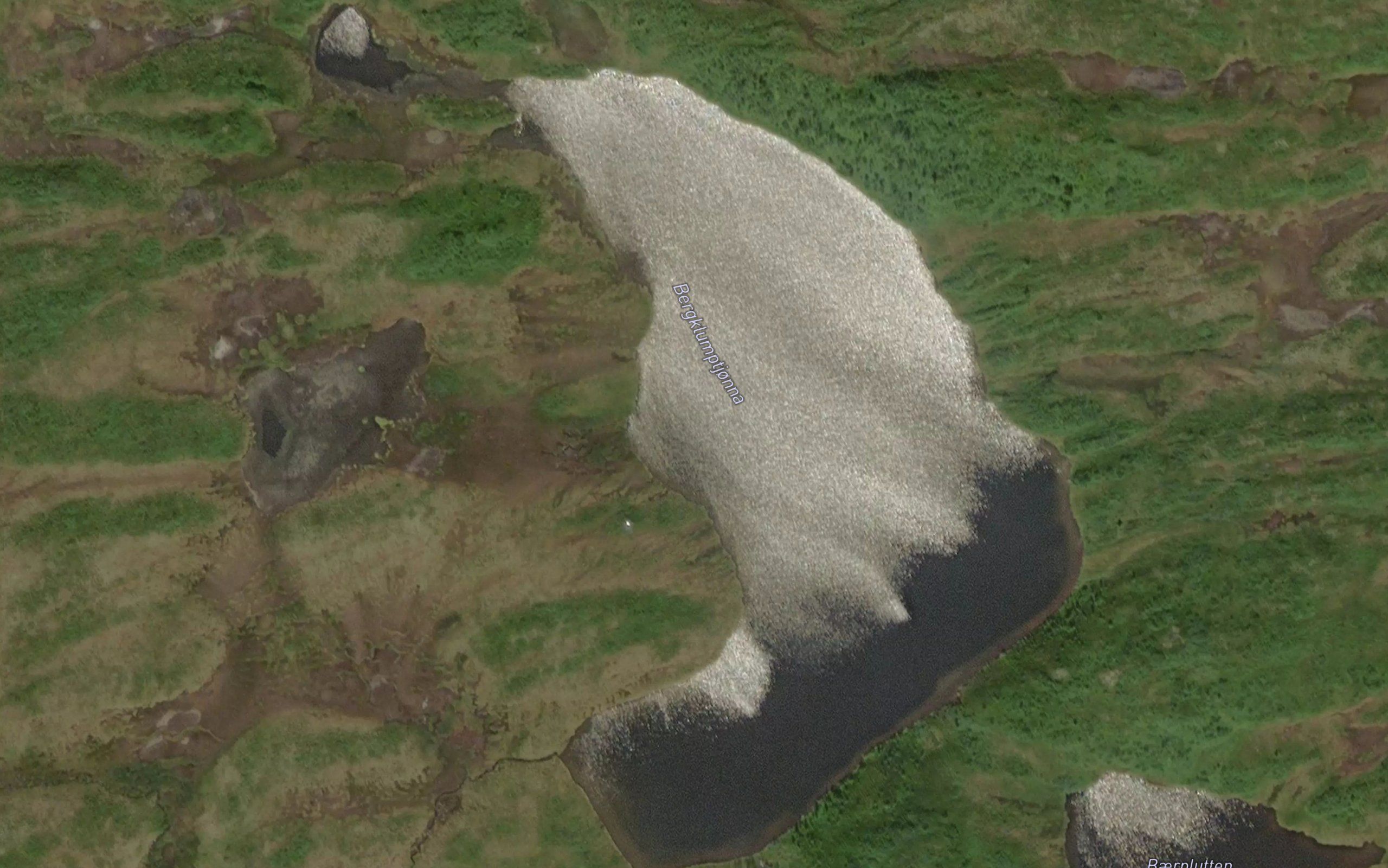 Storbergklumptjorna
