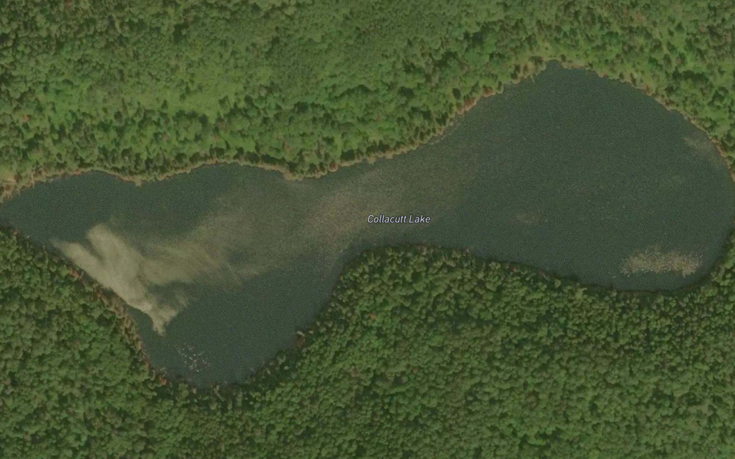 Collacutt Lake