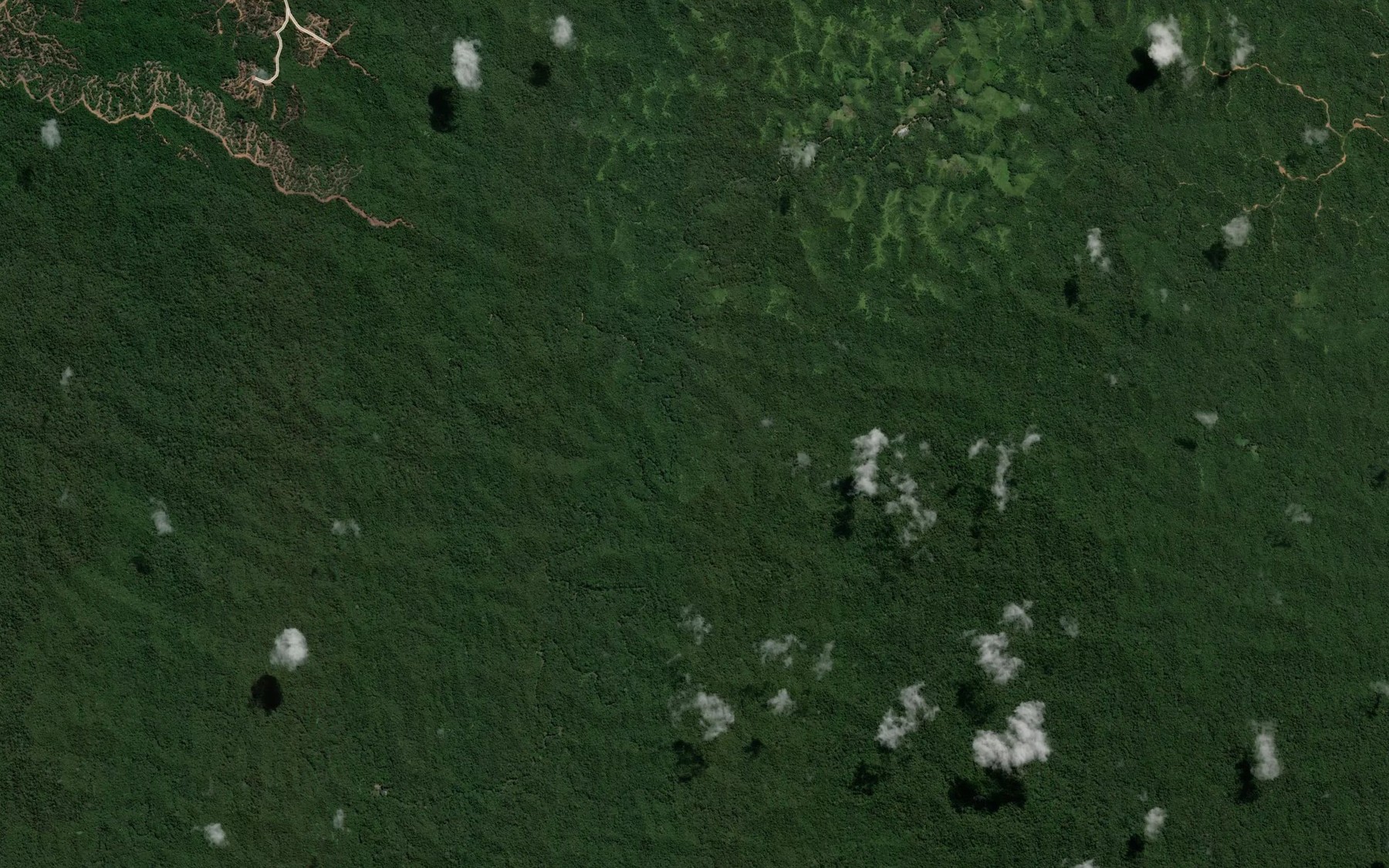 Satellite map of the Sungai Pang