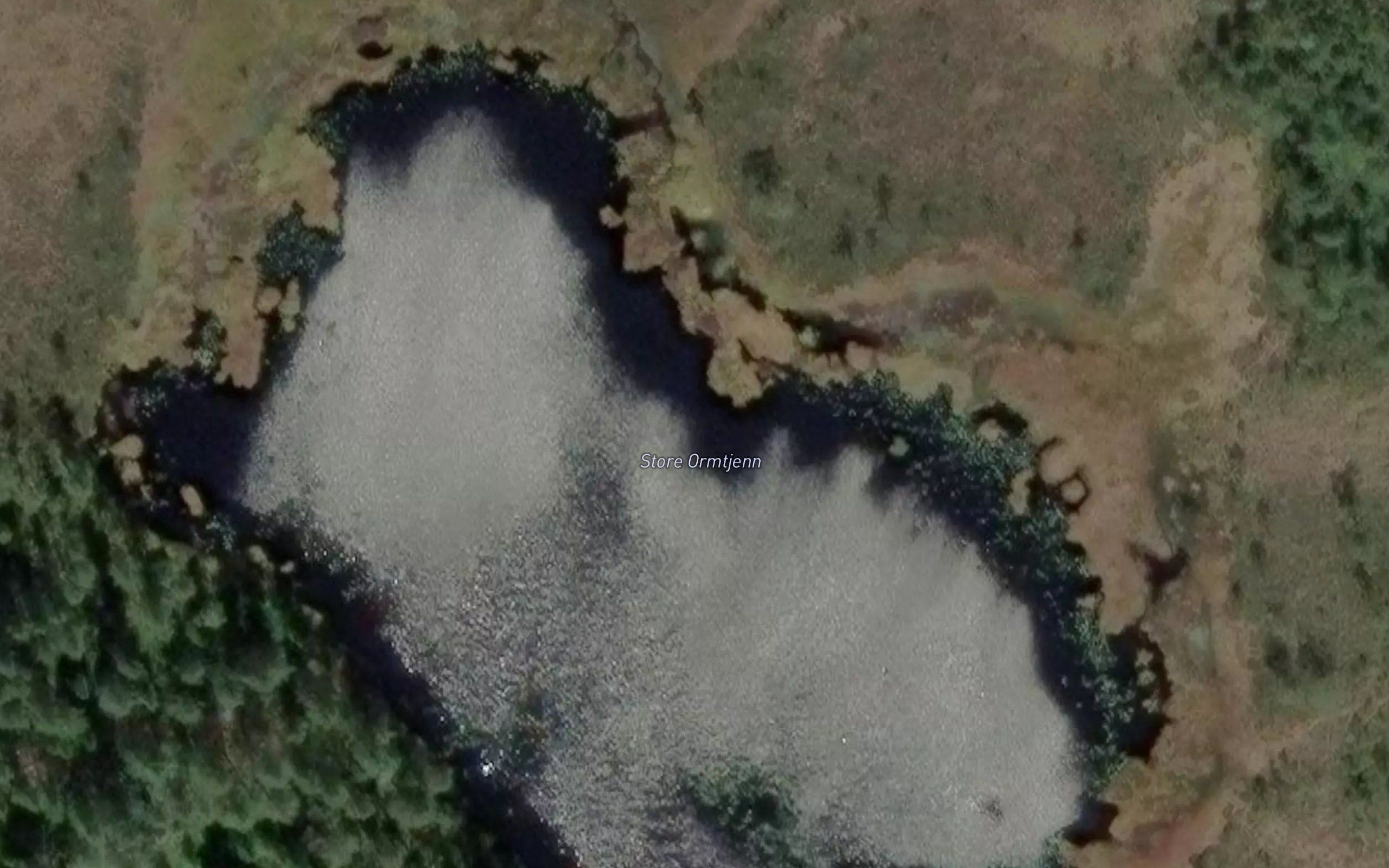 Ormetjerna