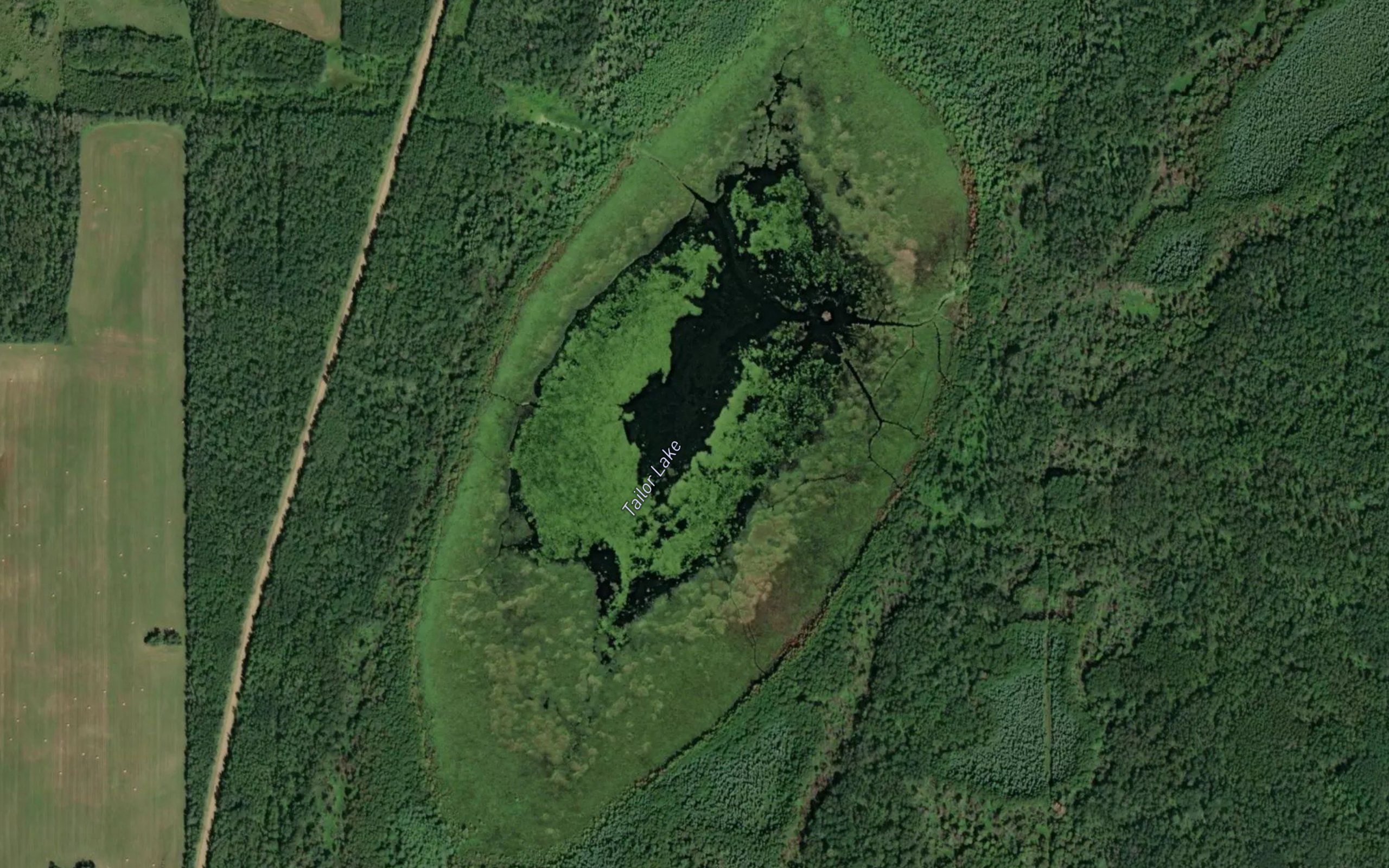Tailor Lake
