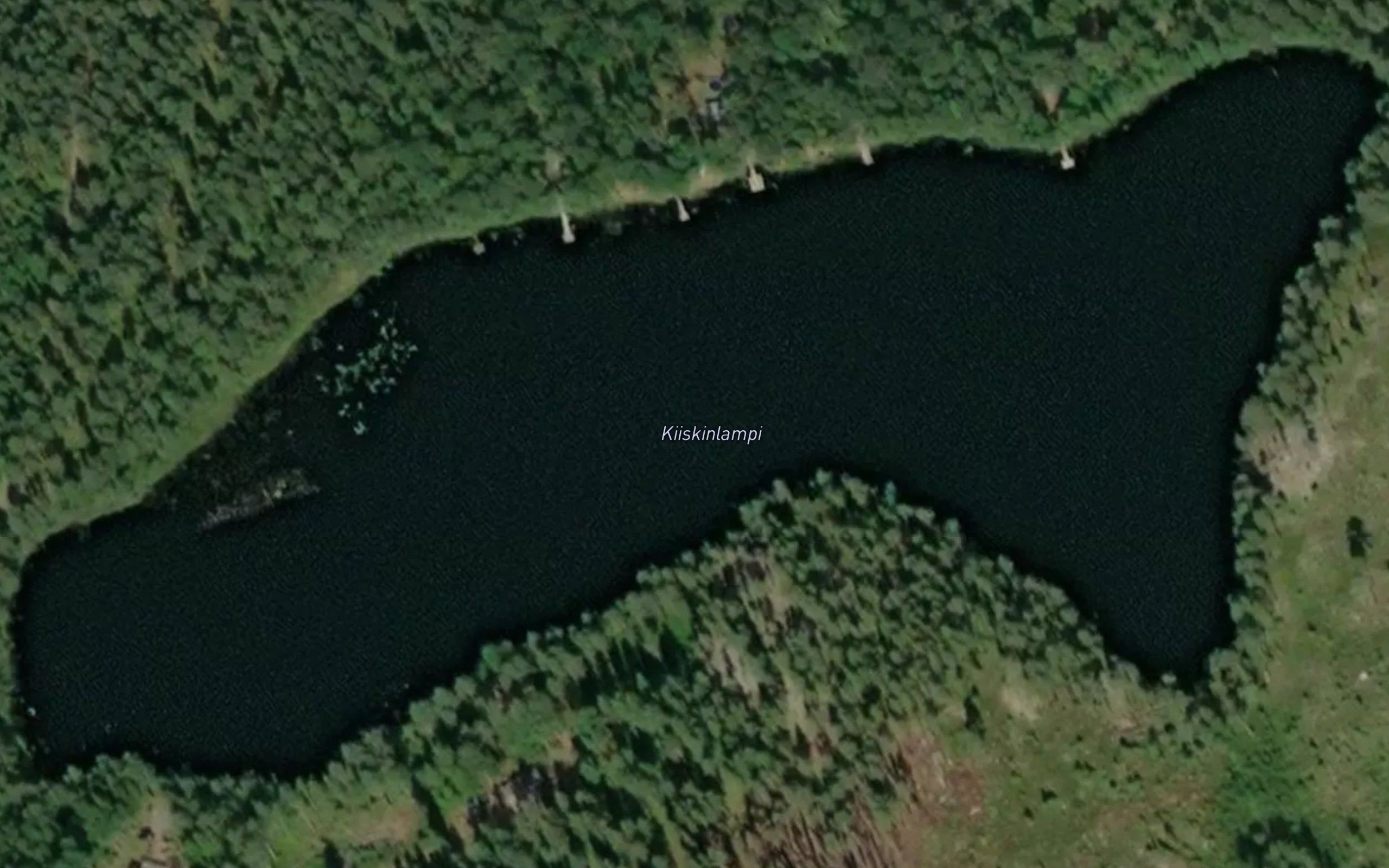 Kiiskinlampi