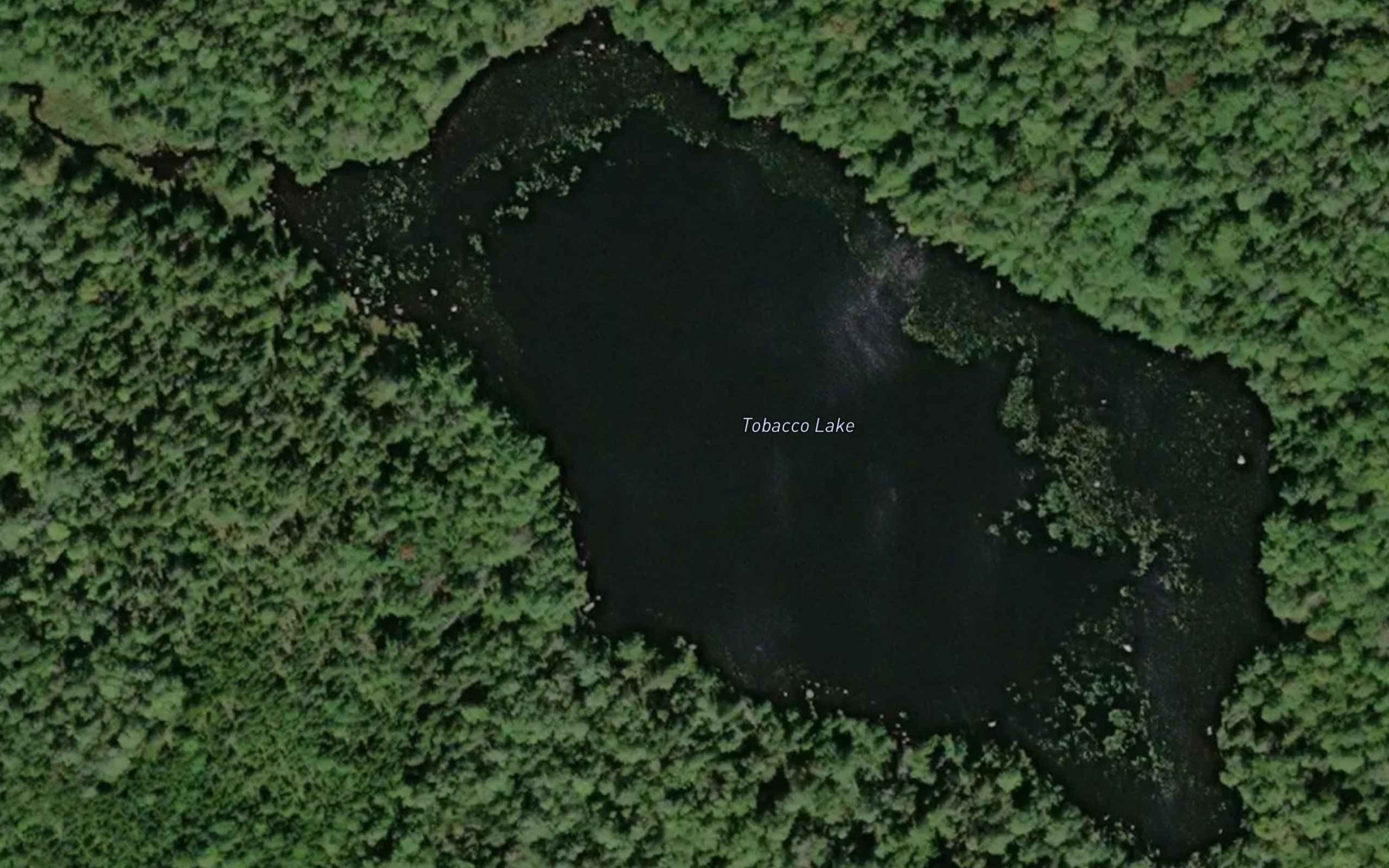 Tobacco Lake