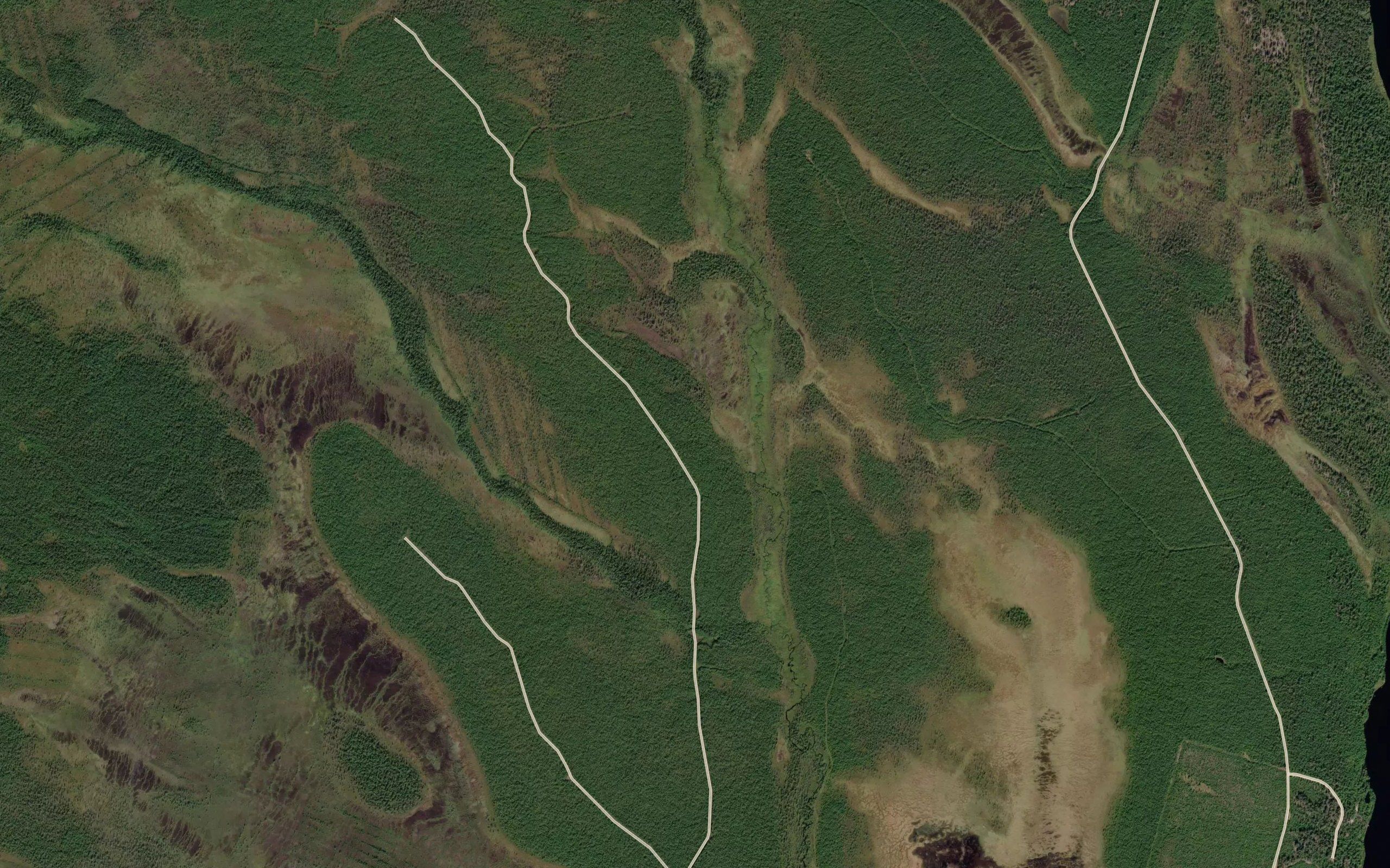 Vaalaoja