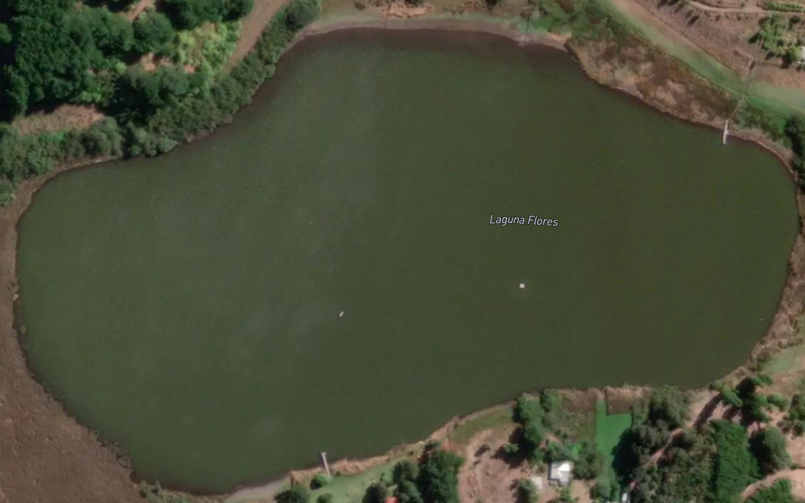 Laguna Flores