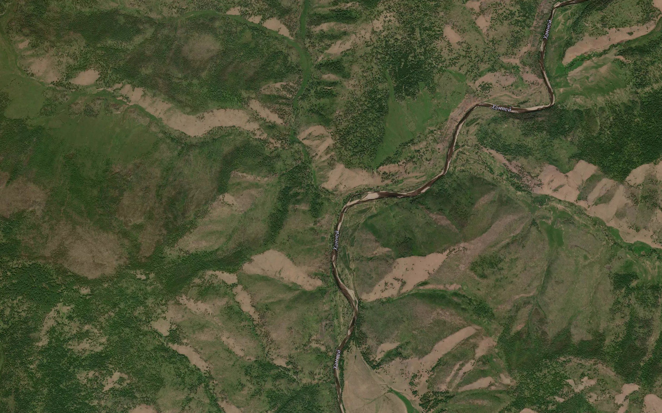 Levaya Shuguyta