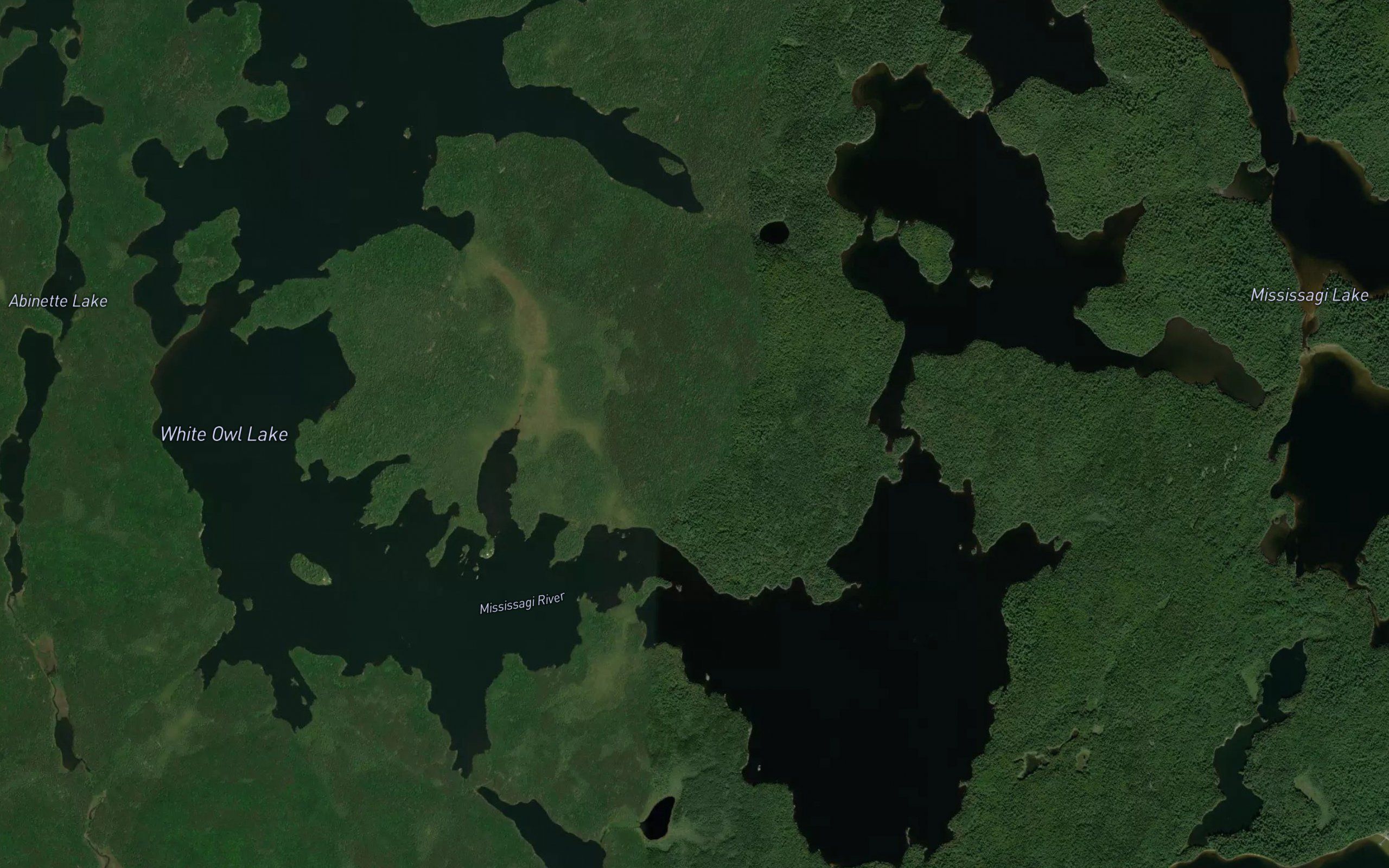 White Owl Lake