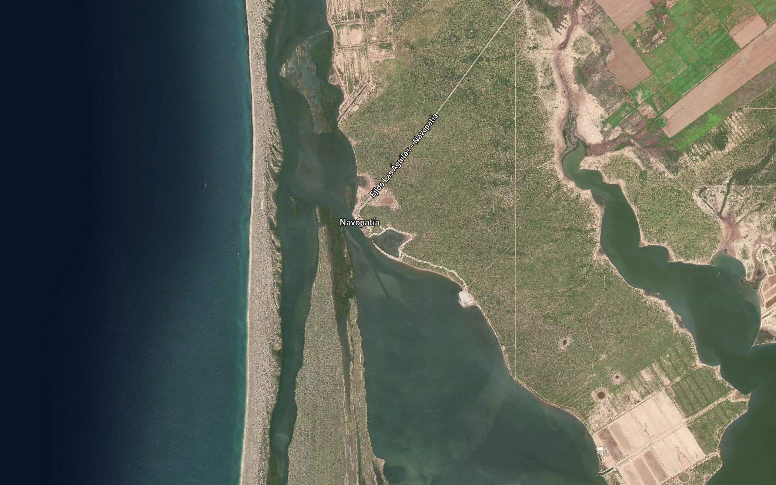 Estero Zepeta