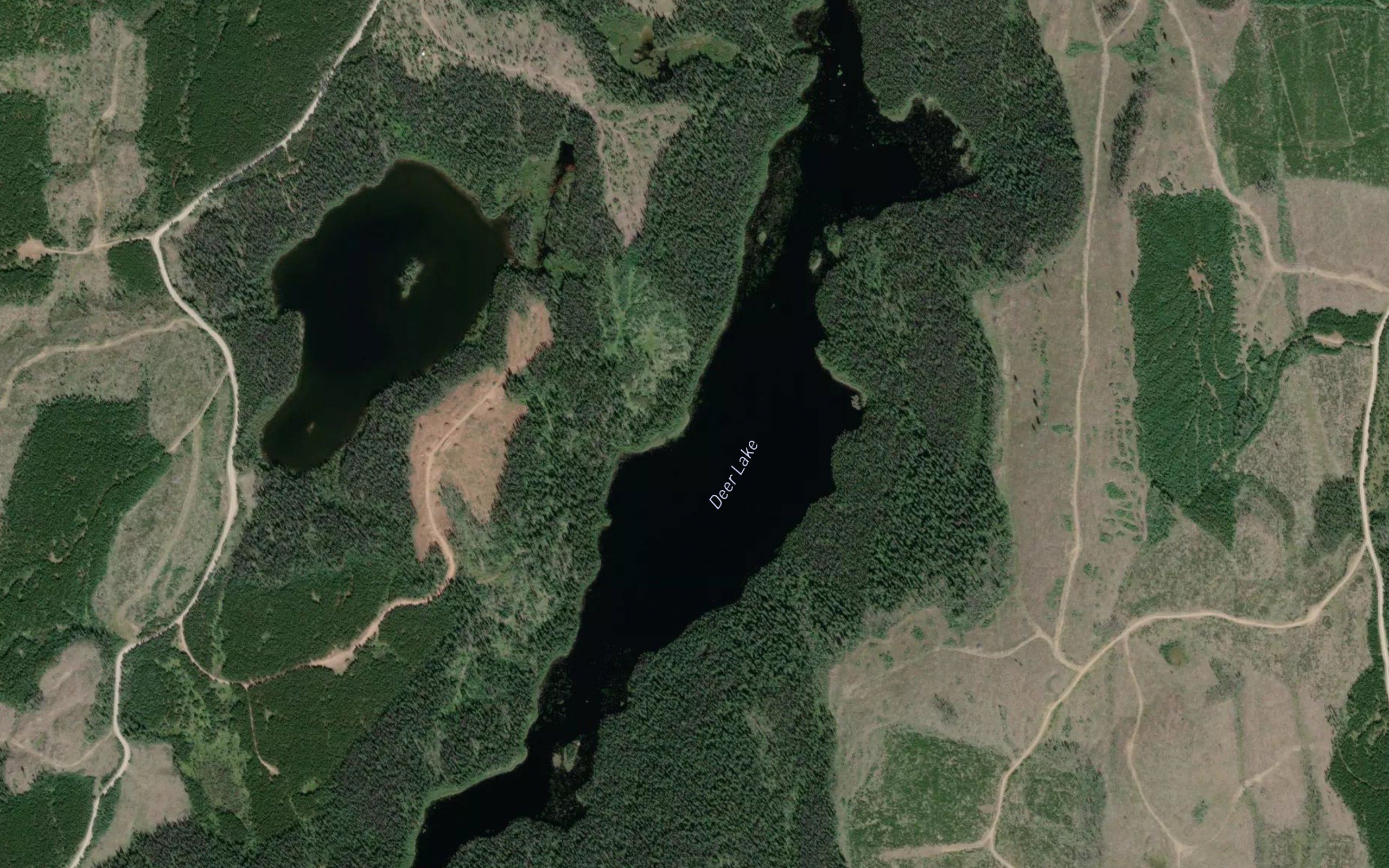 Deer Lake
