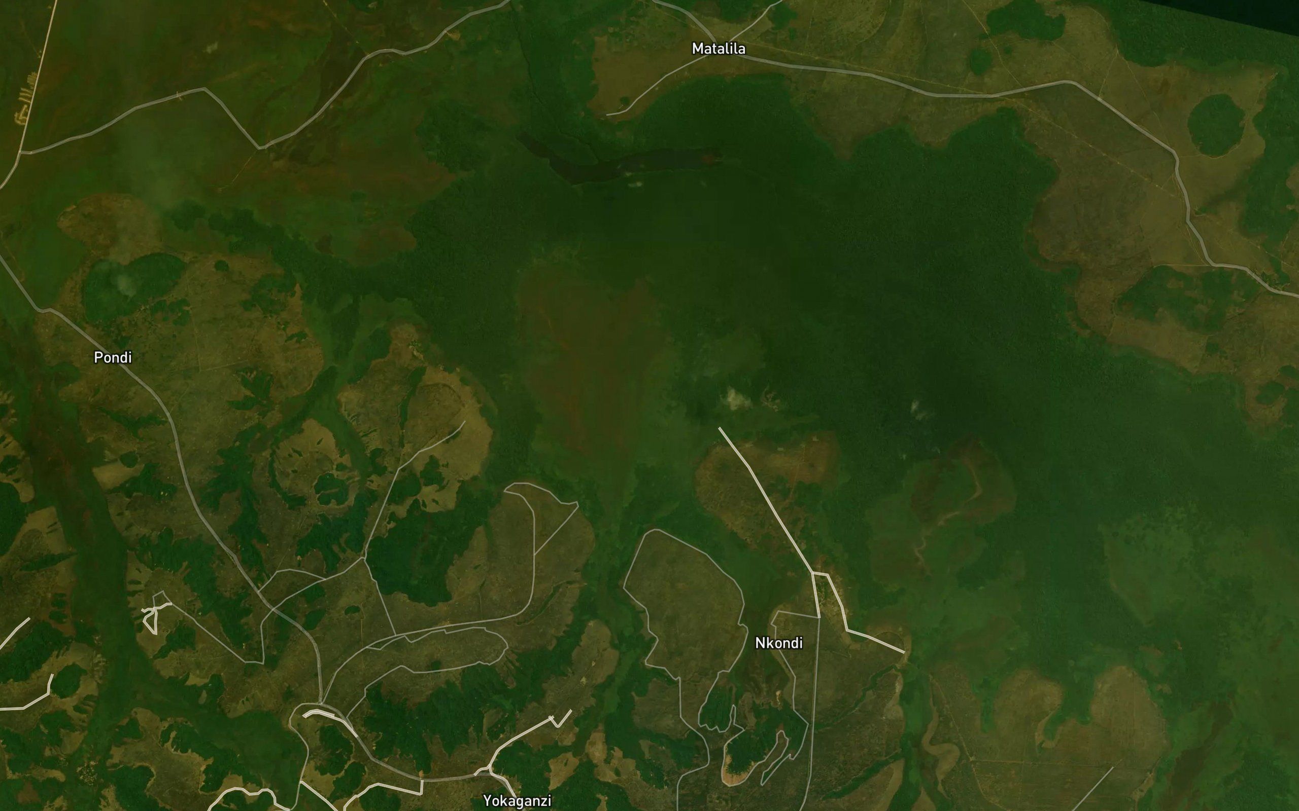Bimbakassa