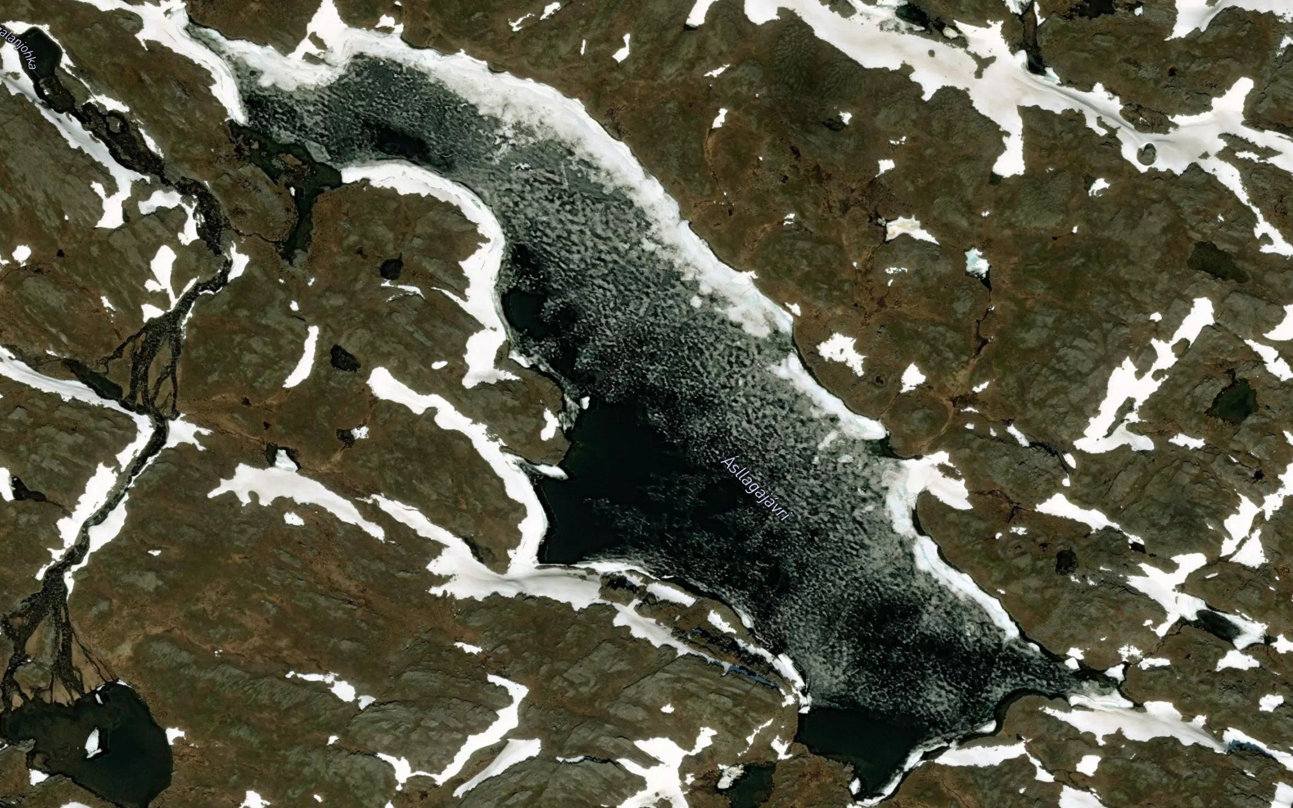Aslagajavri