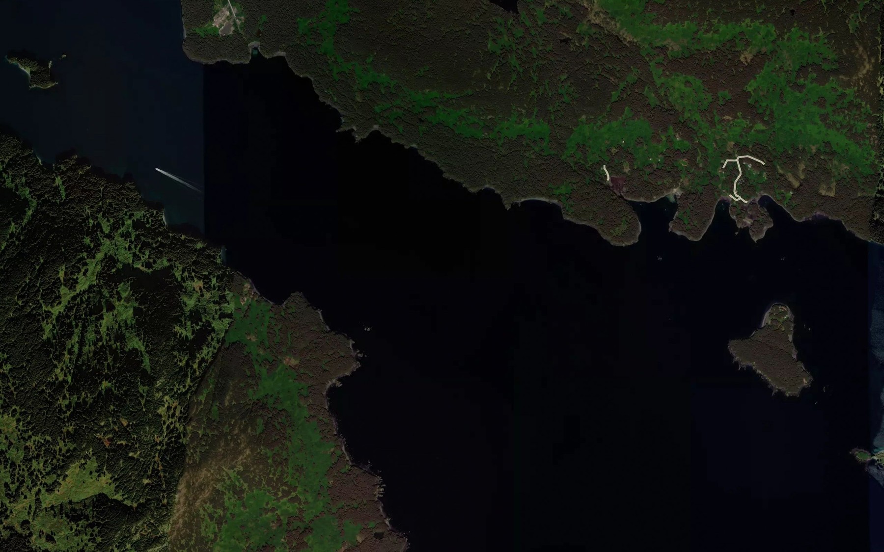 Satellite map of the Narrow Strait