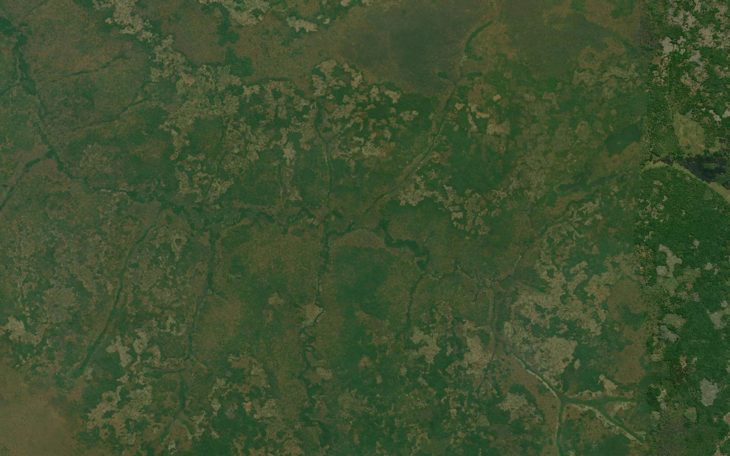 Tshikakano
