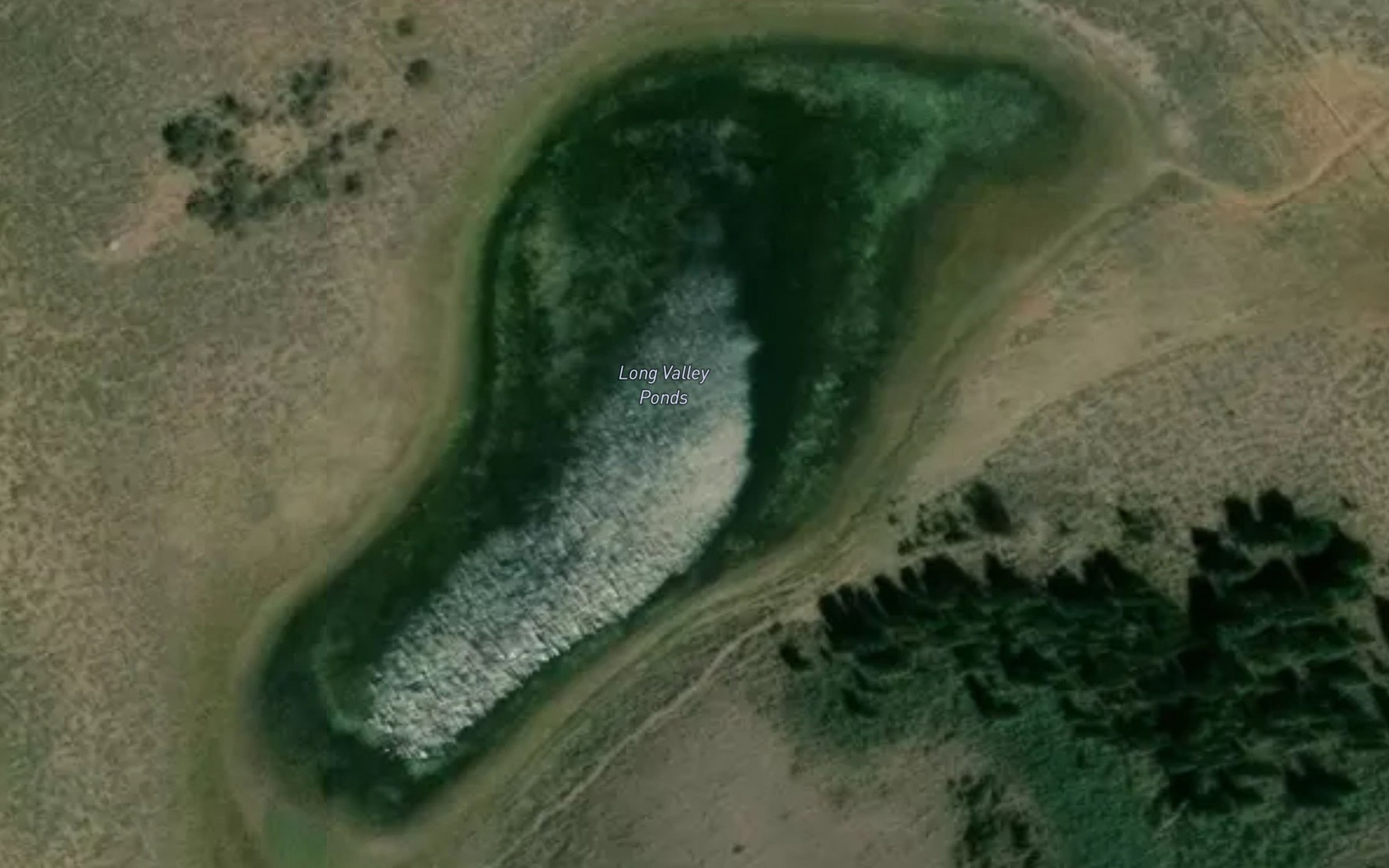Satellite map of the Long Valley Ponds