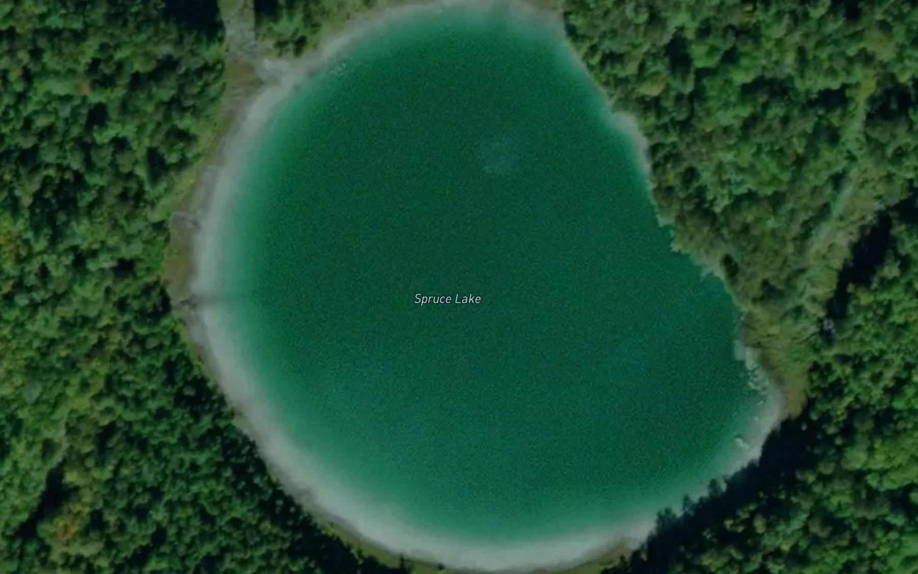 Satellite map of the Spruce Lake