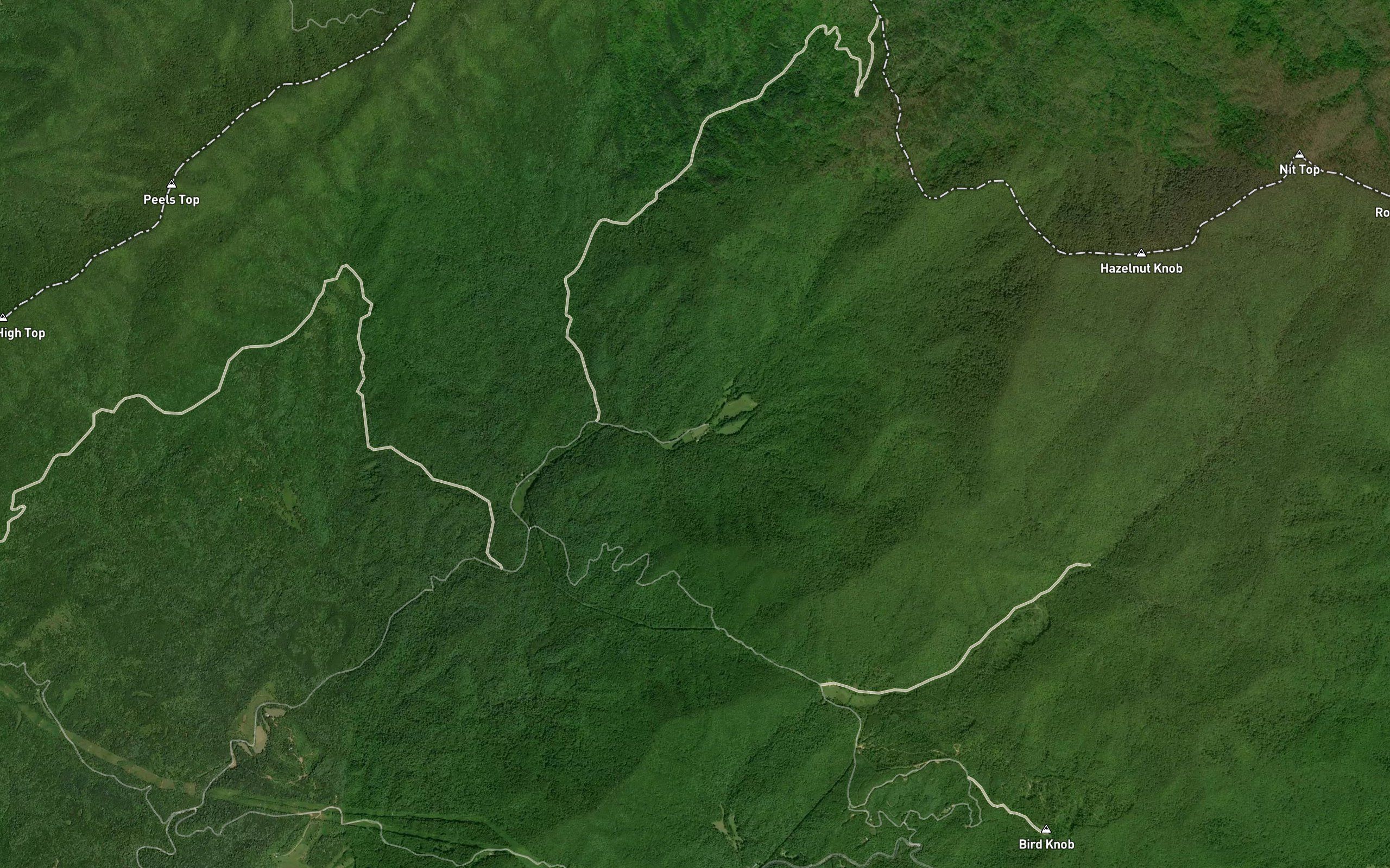Locust Gap Branch