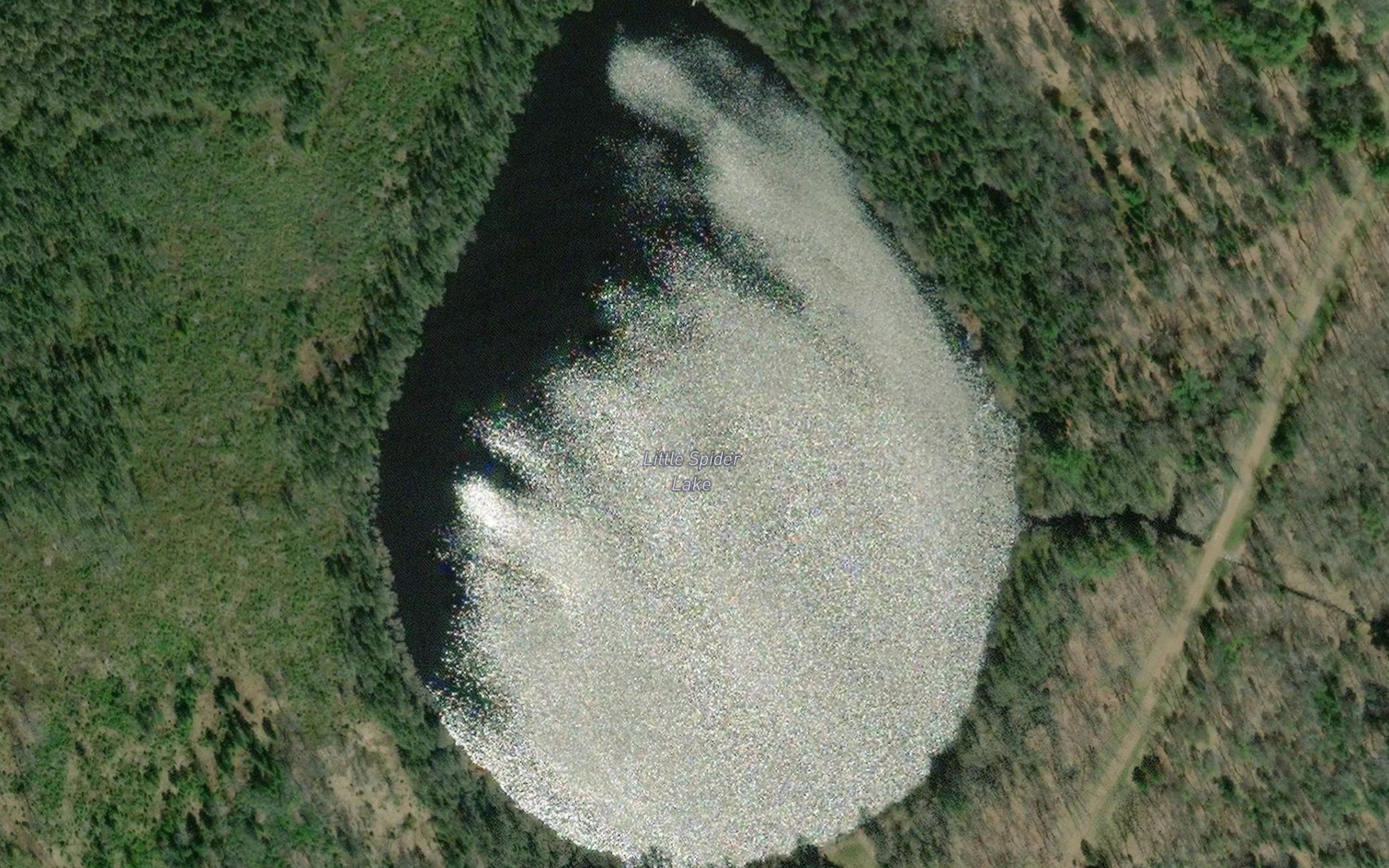 Little Spider Lake