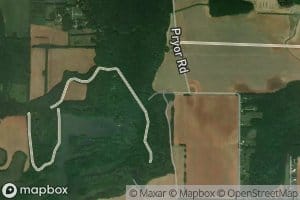 Limestone Slough