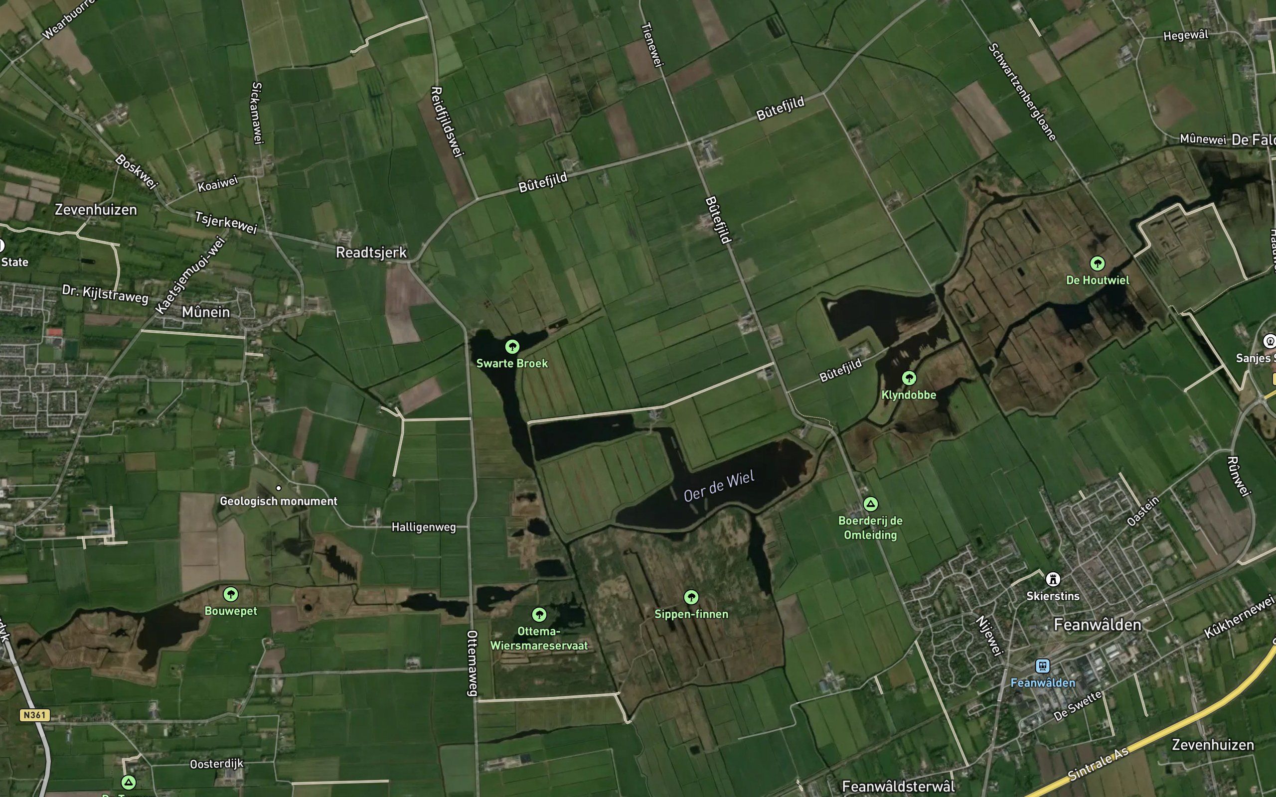 Leijenspet