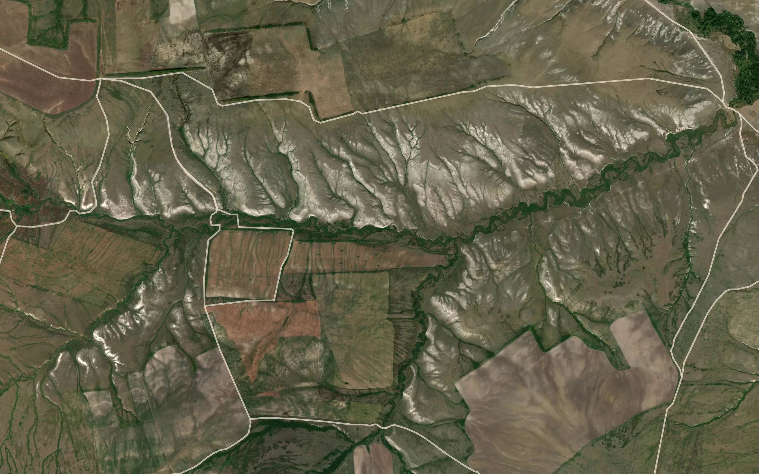 Balka Naydenoya