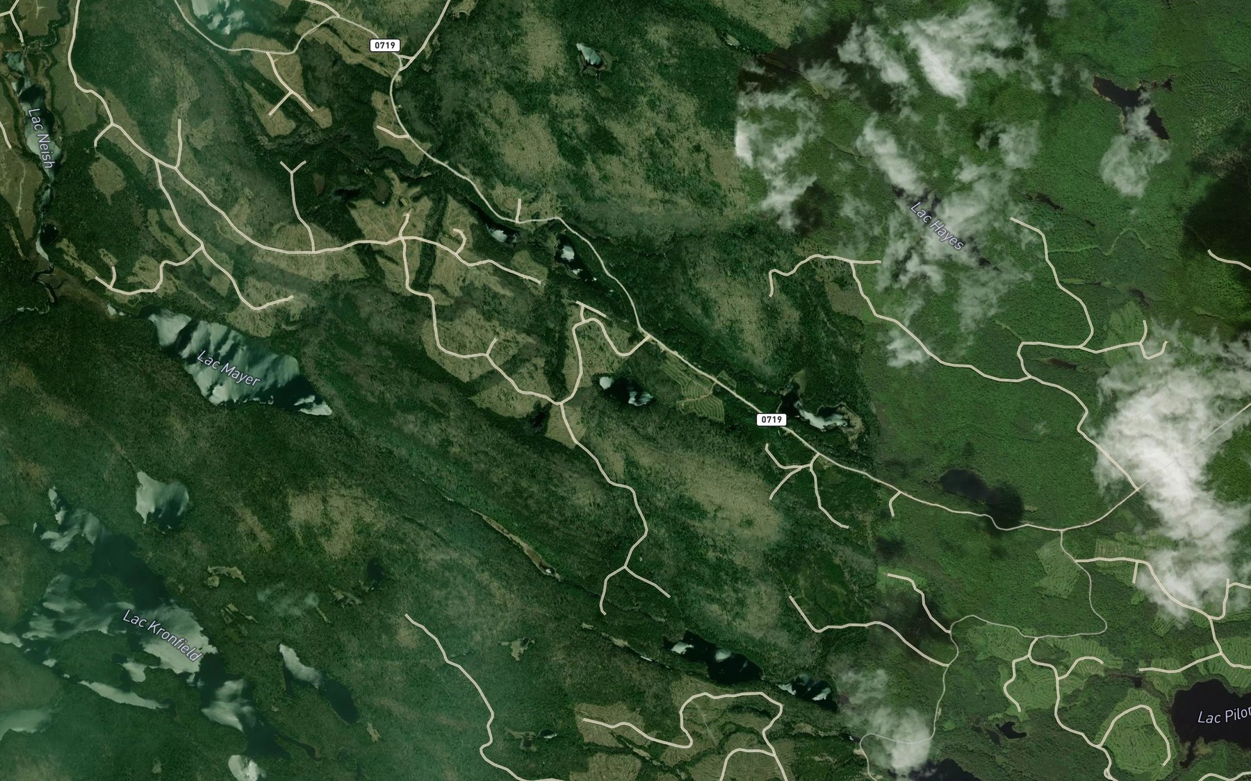 Satellite map of the Lac du Gros Nez