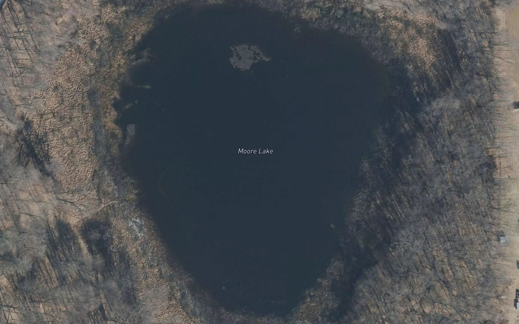 Satellite map of the Moore Lake