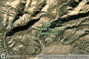 Nettle Spring