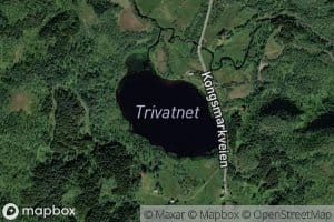 Trevatnet