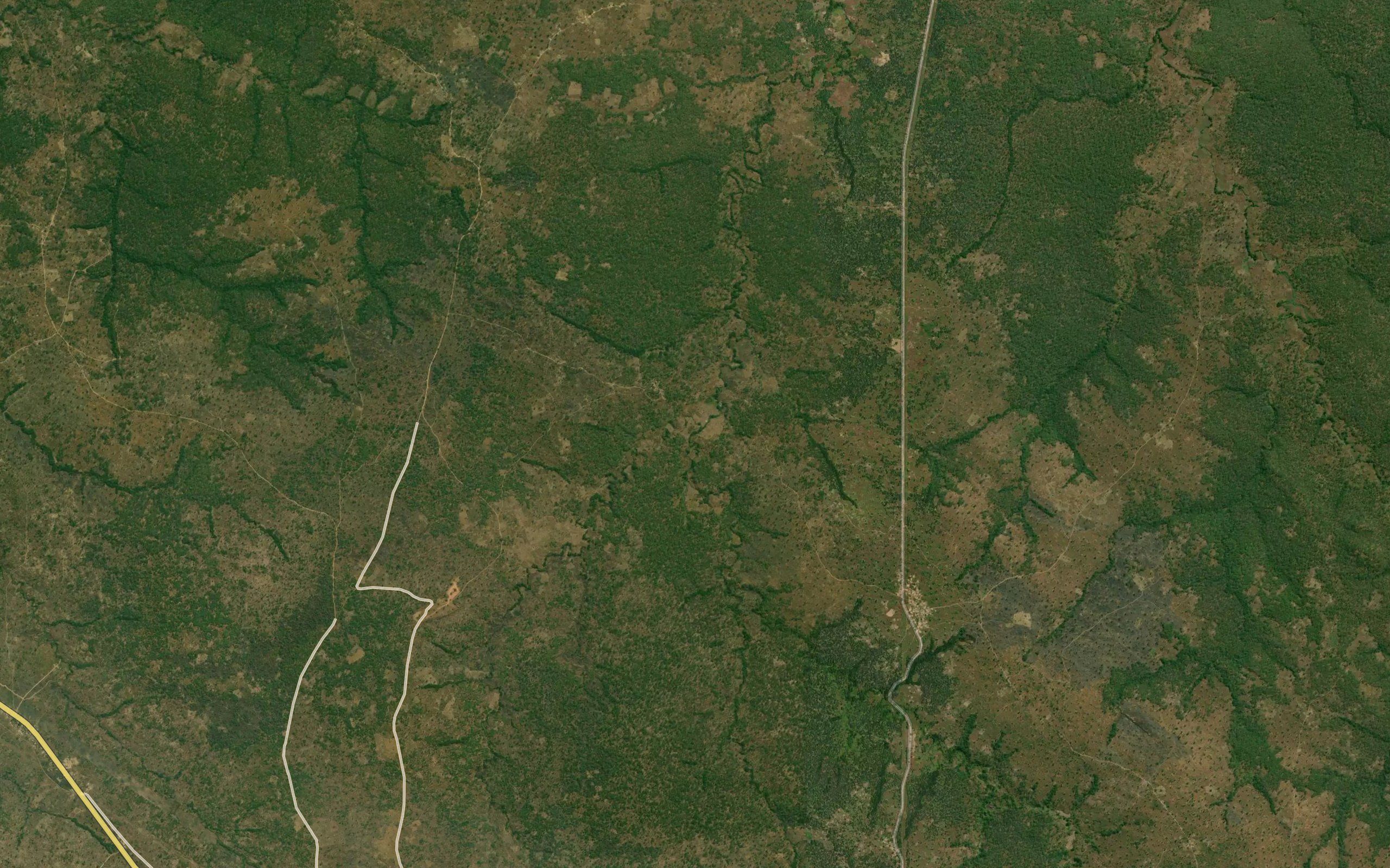Kikuswa