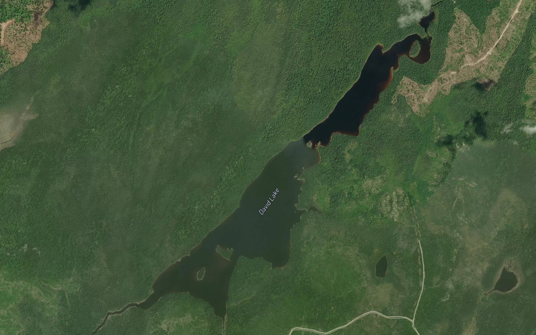 Satellite map of the David Lake
