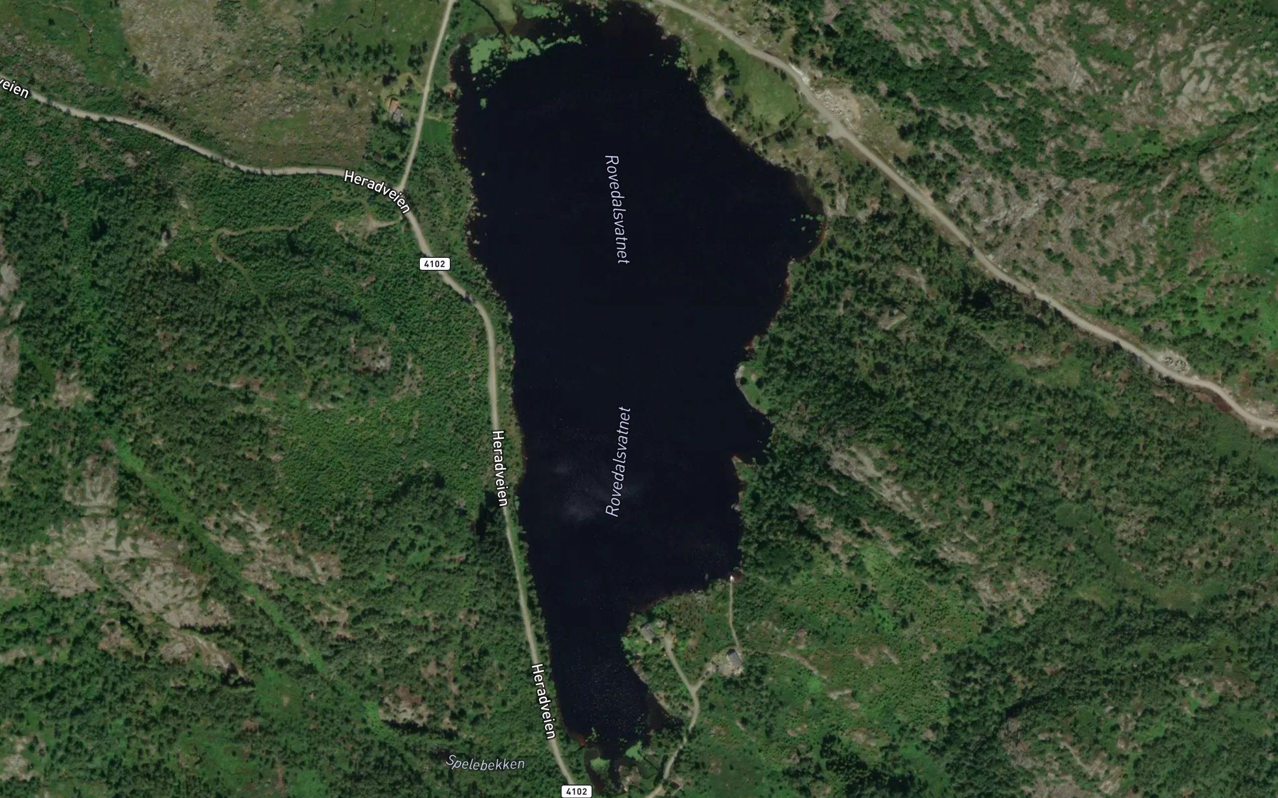 Rovedalsvatnet