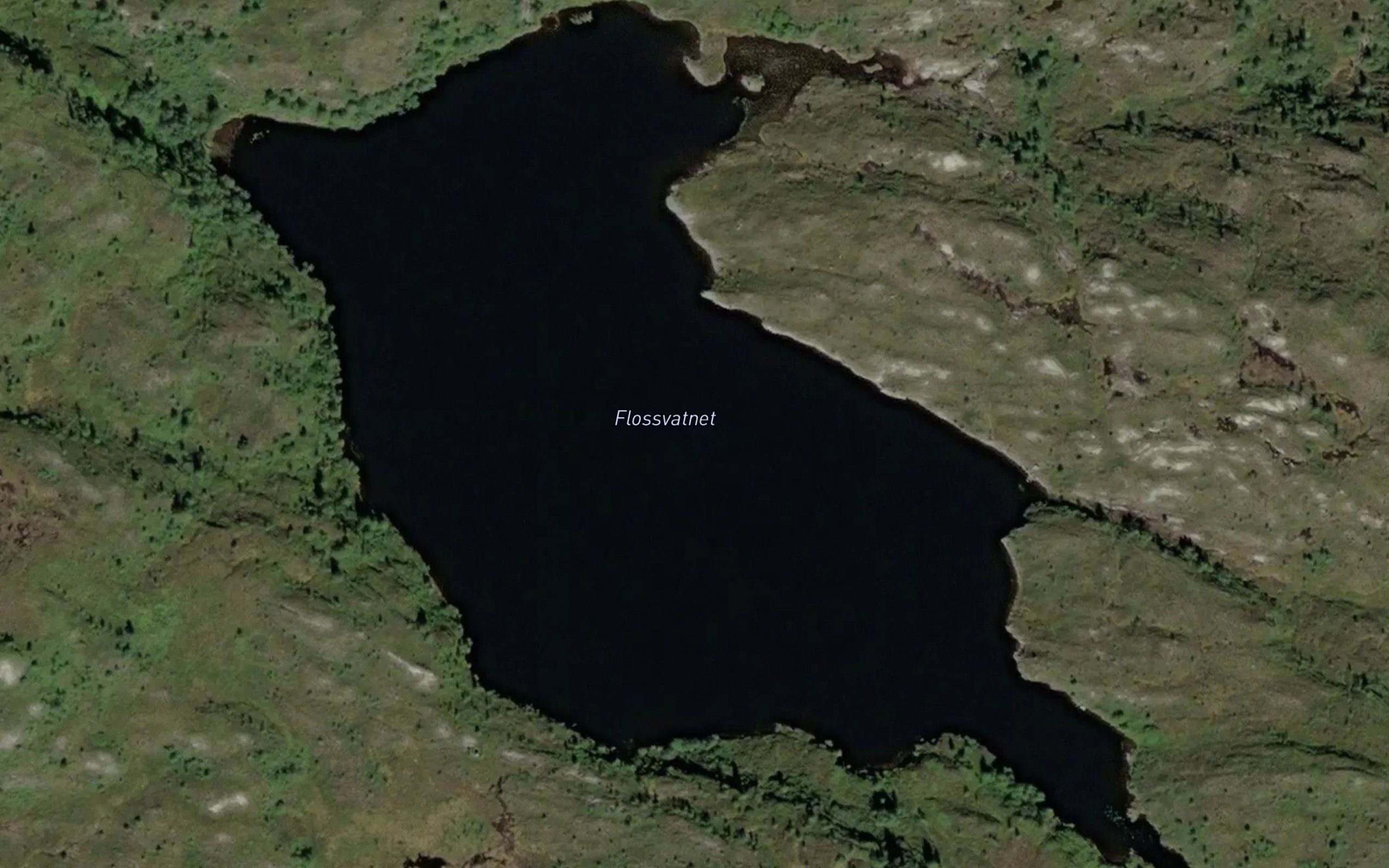 Flassvatnet