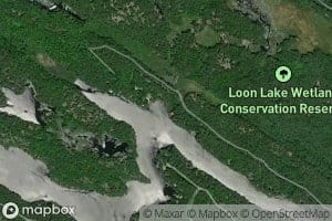 Loon-Turtle Creek