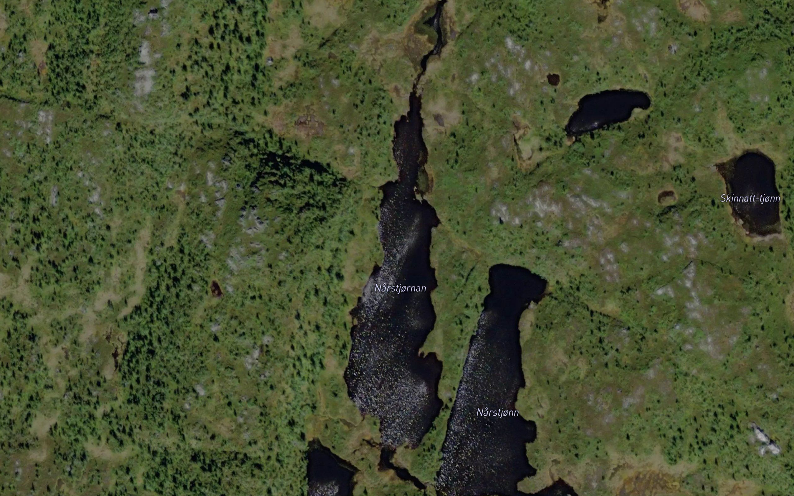 Narstjornan