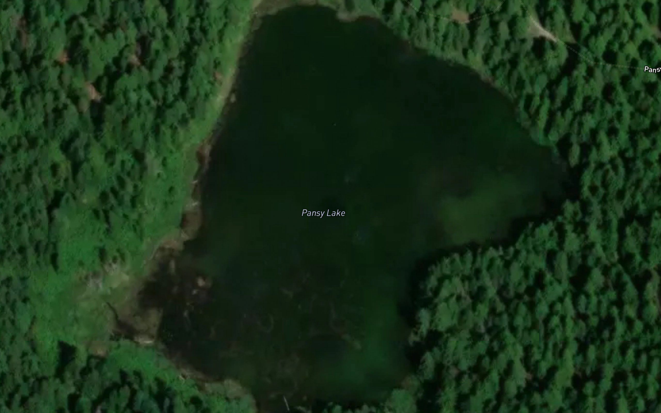 Pansy Lake